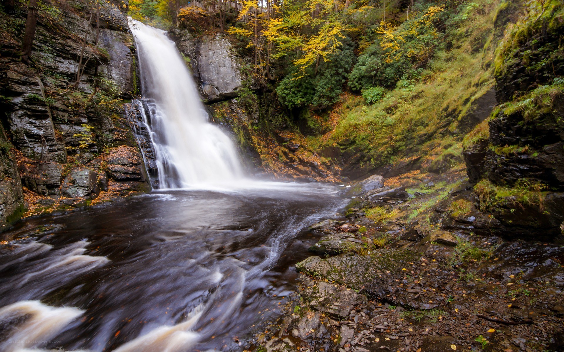 Waterfall in autumn forest