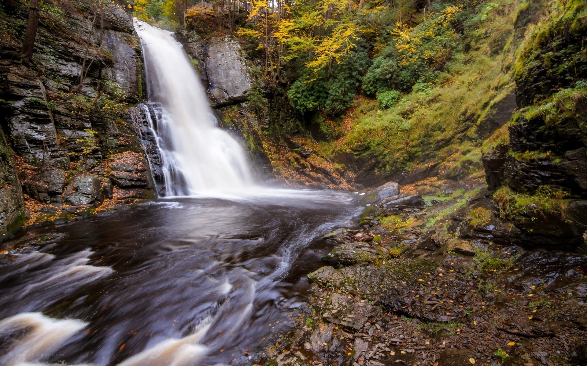 Waterfall in autumn forest