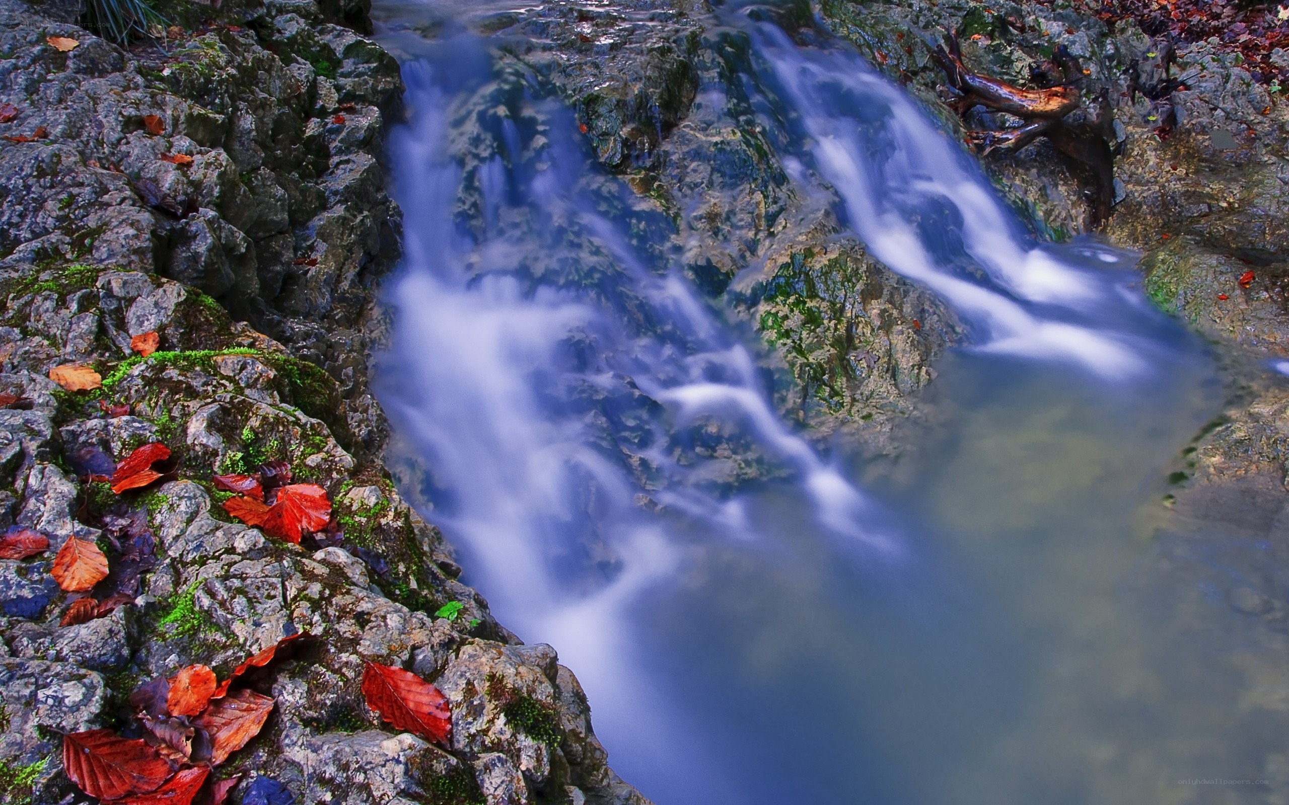 Waterfall in autumn forest
