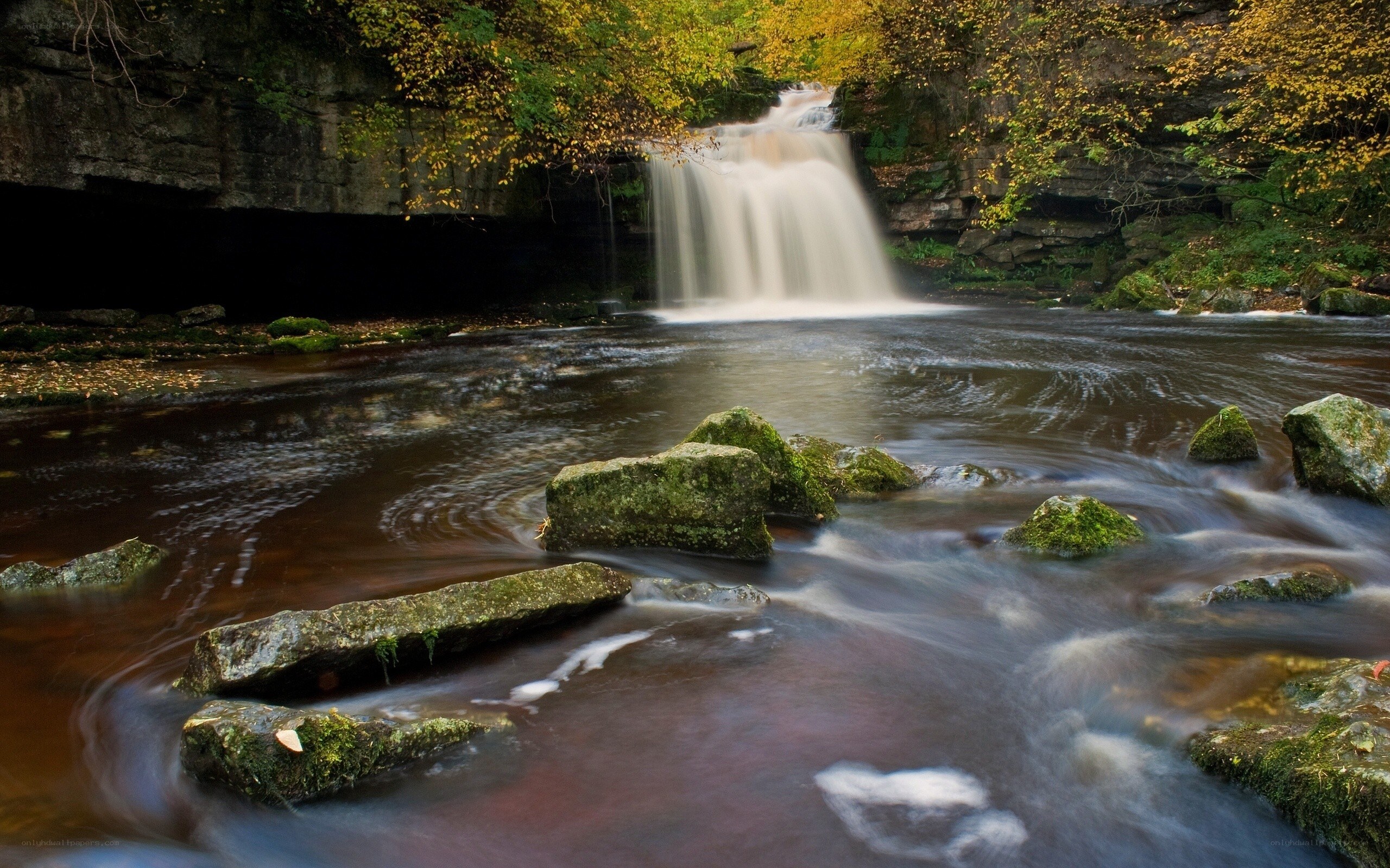 Waterfall in autumn forest