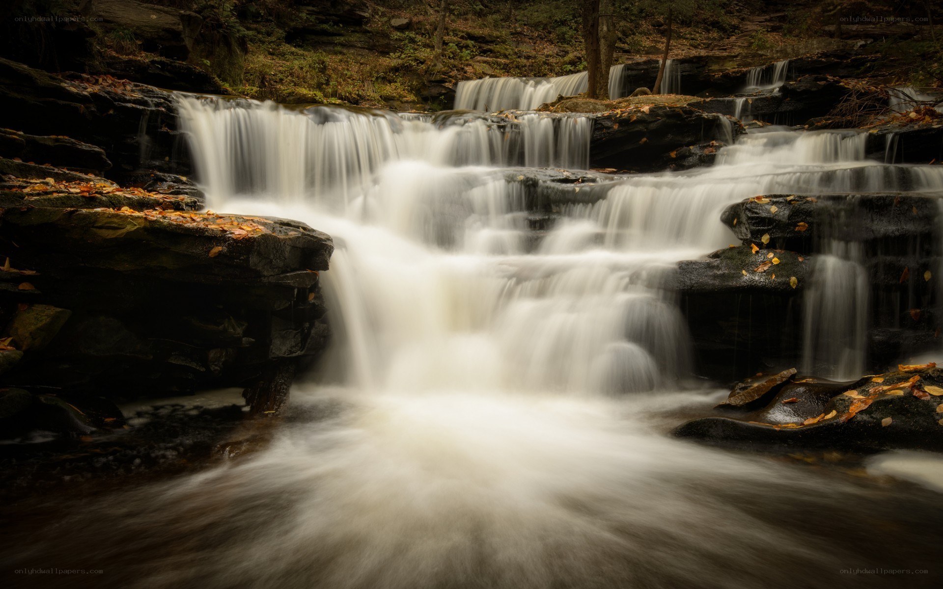 Waterfall in autumn forest