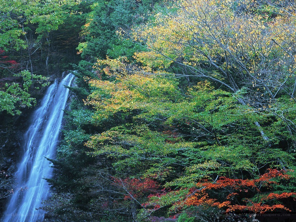 Waterfall in autumn forest