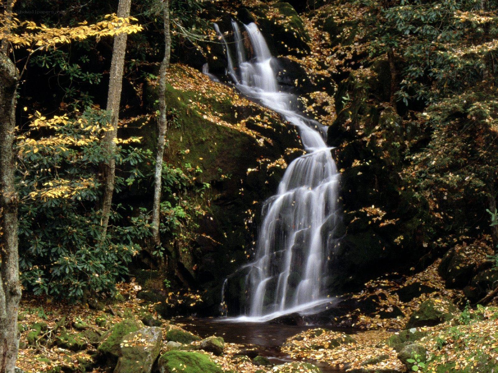 Waterfall in autumn forest