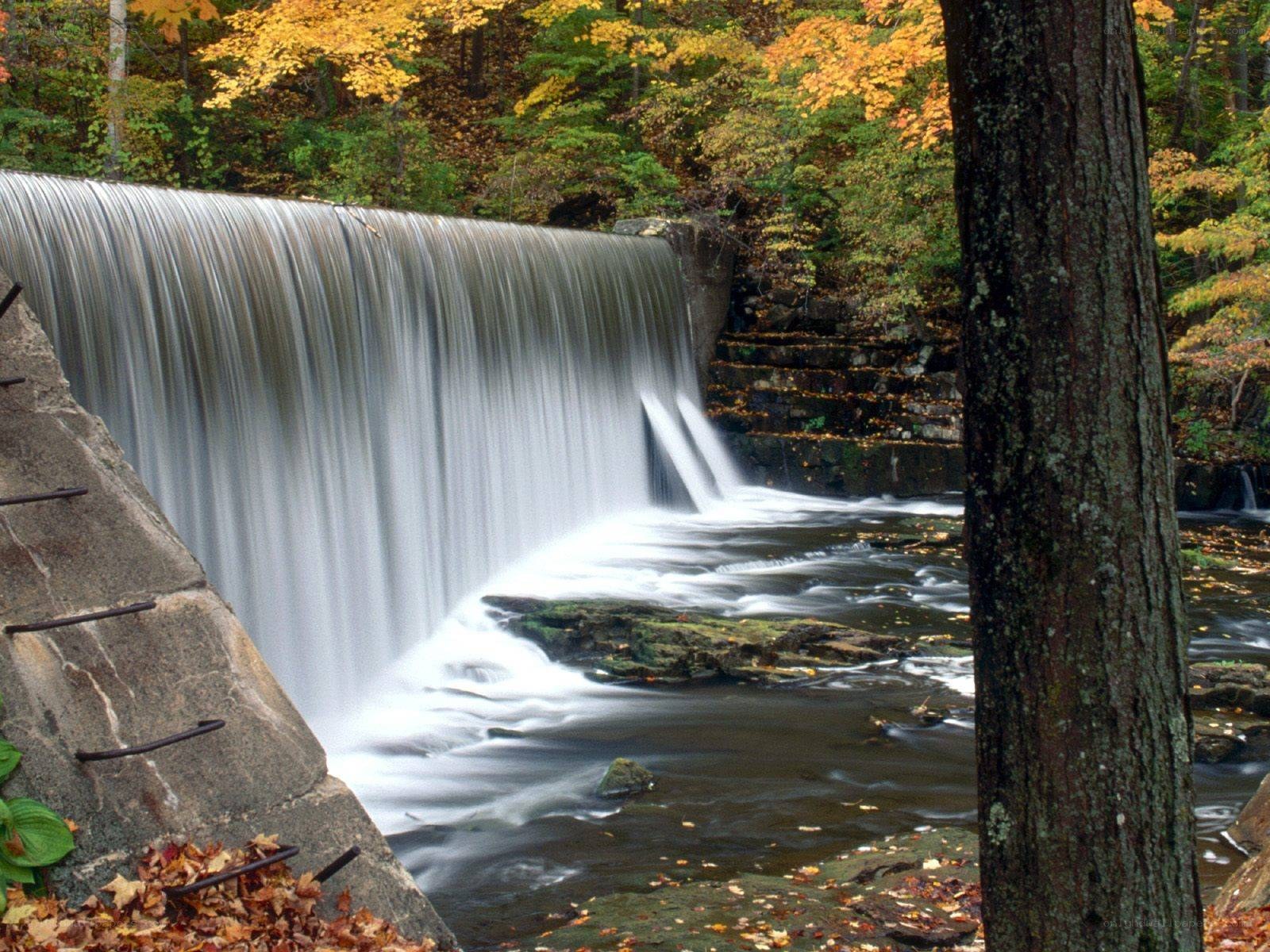 Waterfall in autumn forest