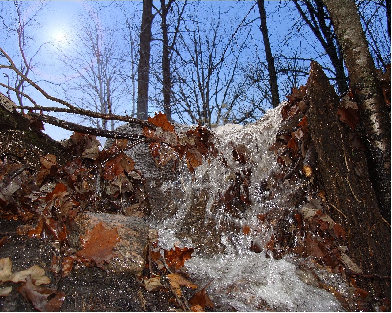 Waterfall in autumn forest