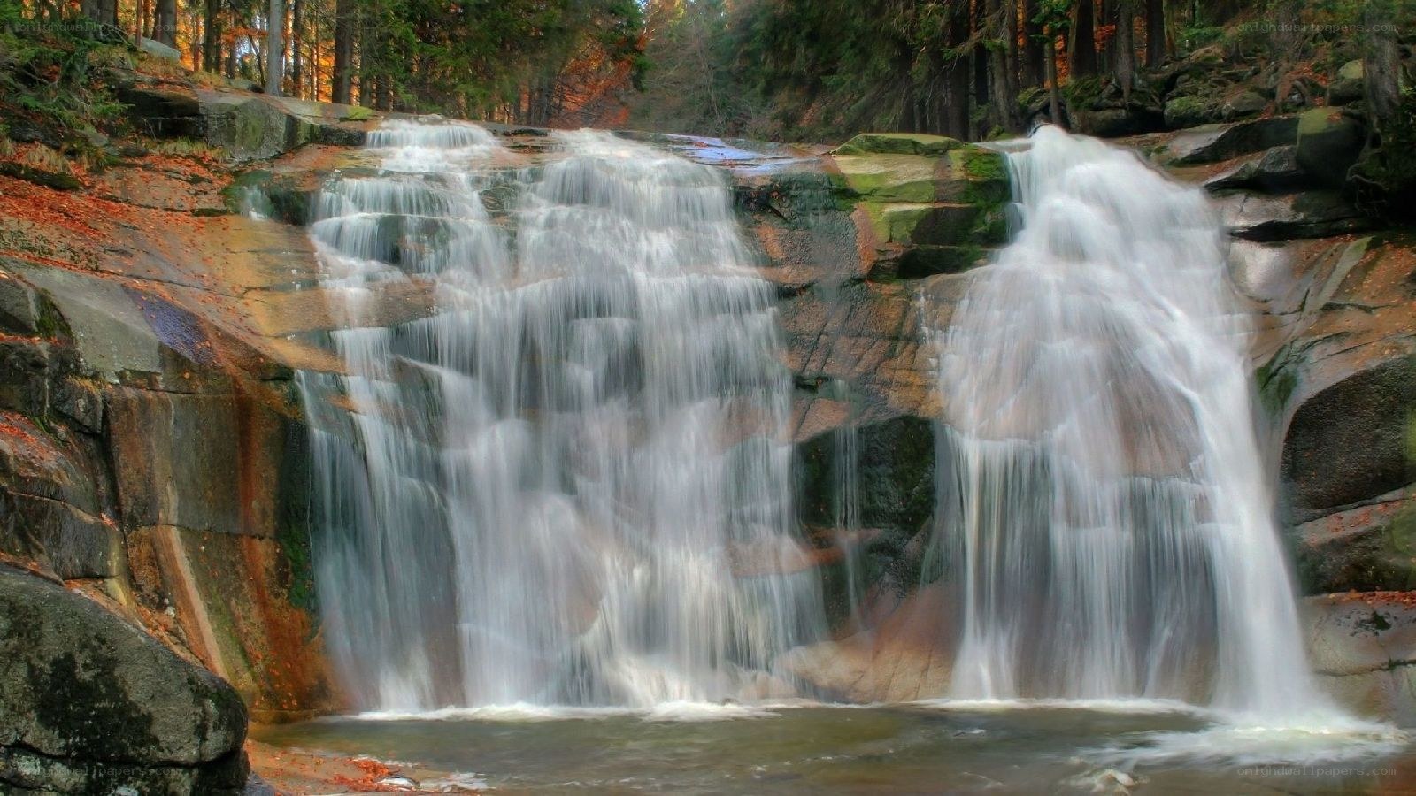 Waterfall in autumn forest