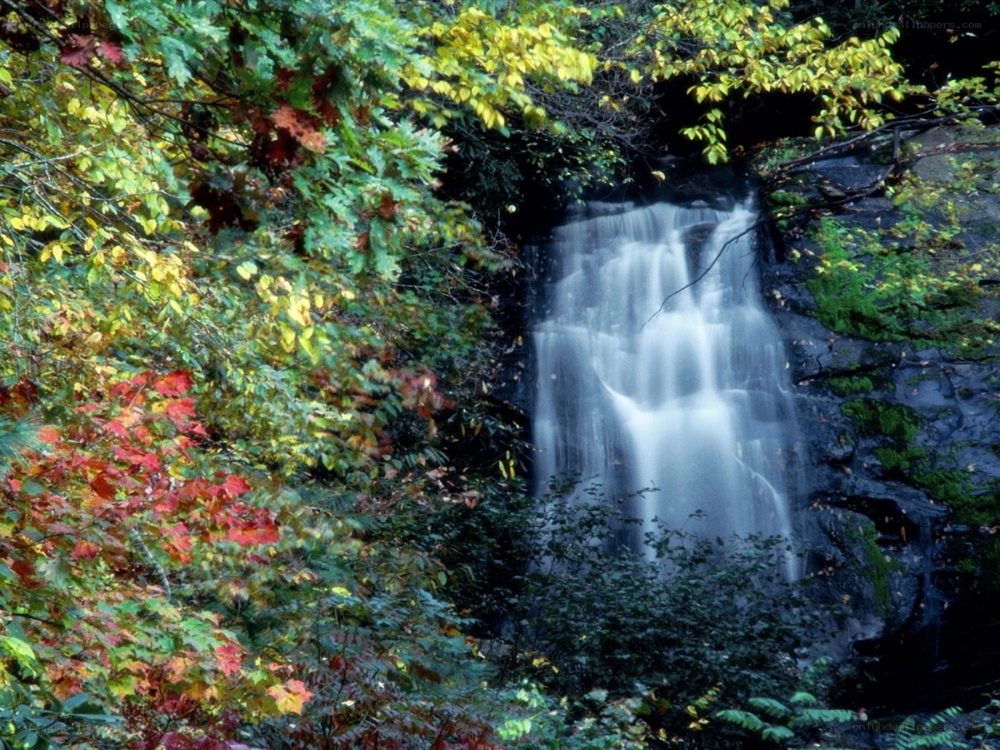 Waterfall in autumn forest