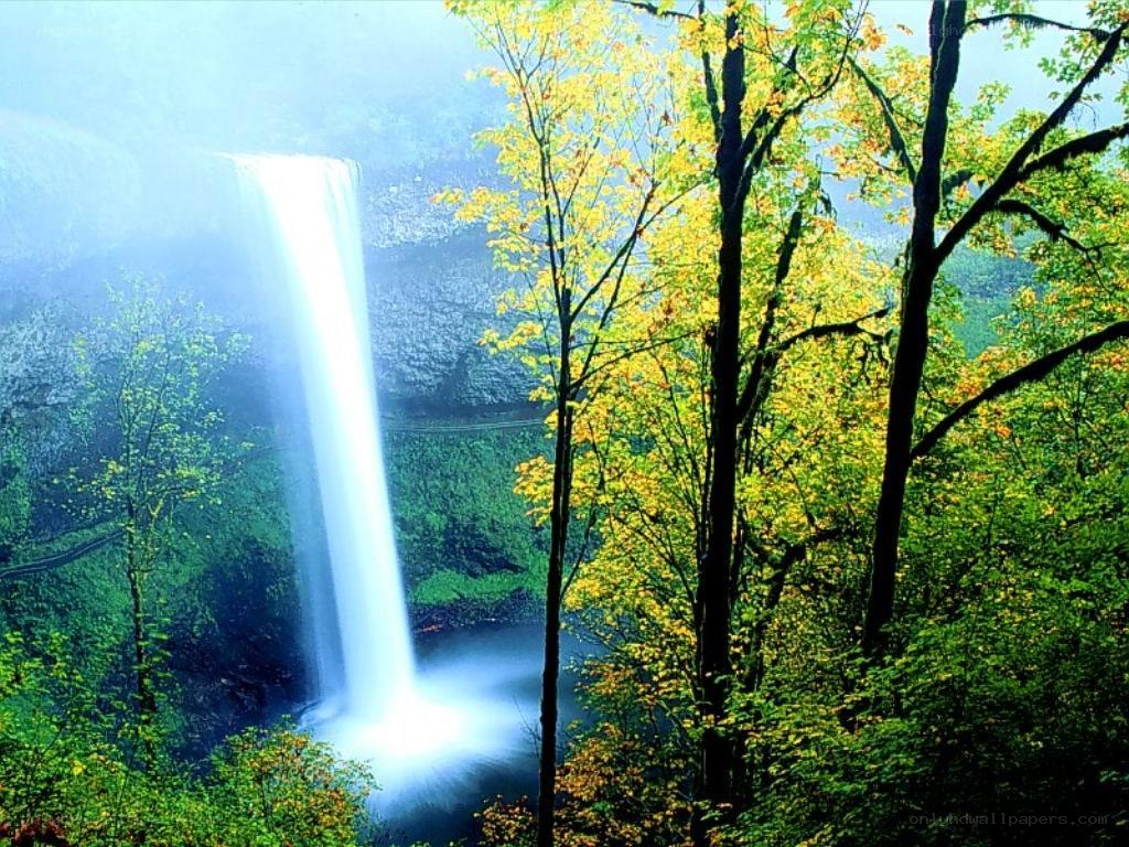 Waterfall in autumn forest