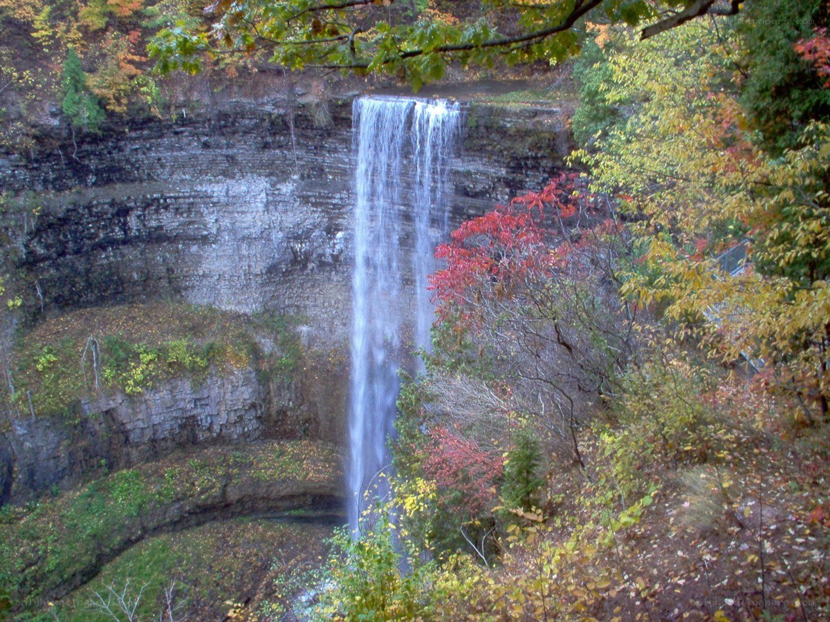 Waterfall in autumn forest