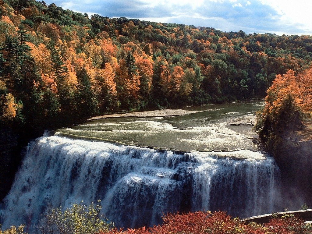 Waterfall in autumn forest