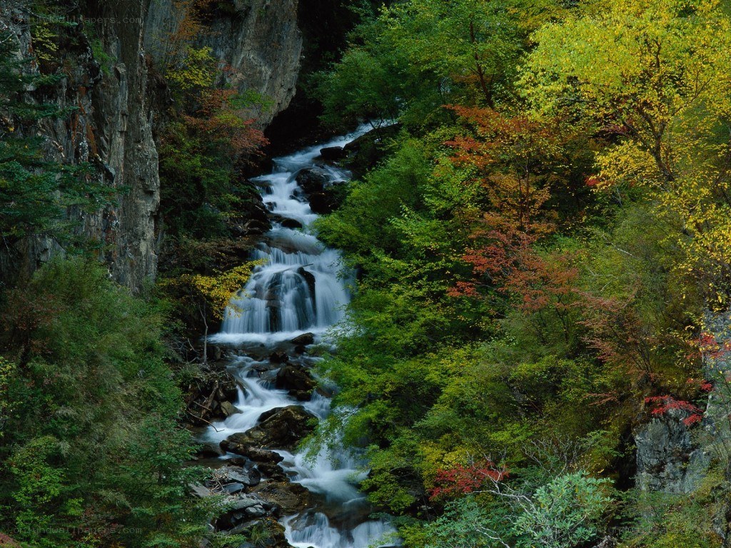 Waterfall in autumn forest