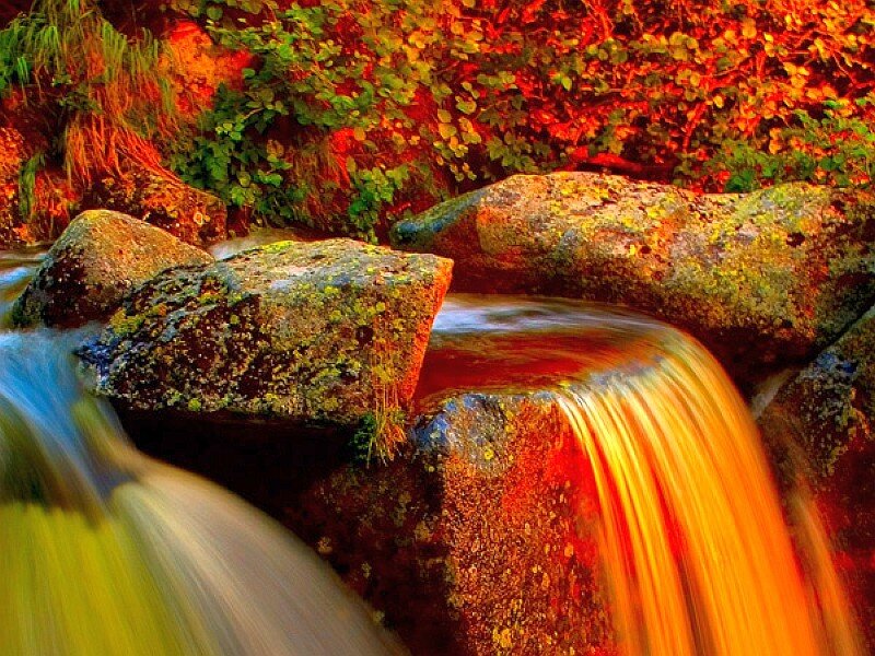Waterfall in autumn forest