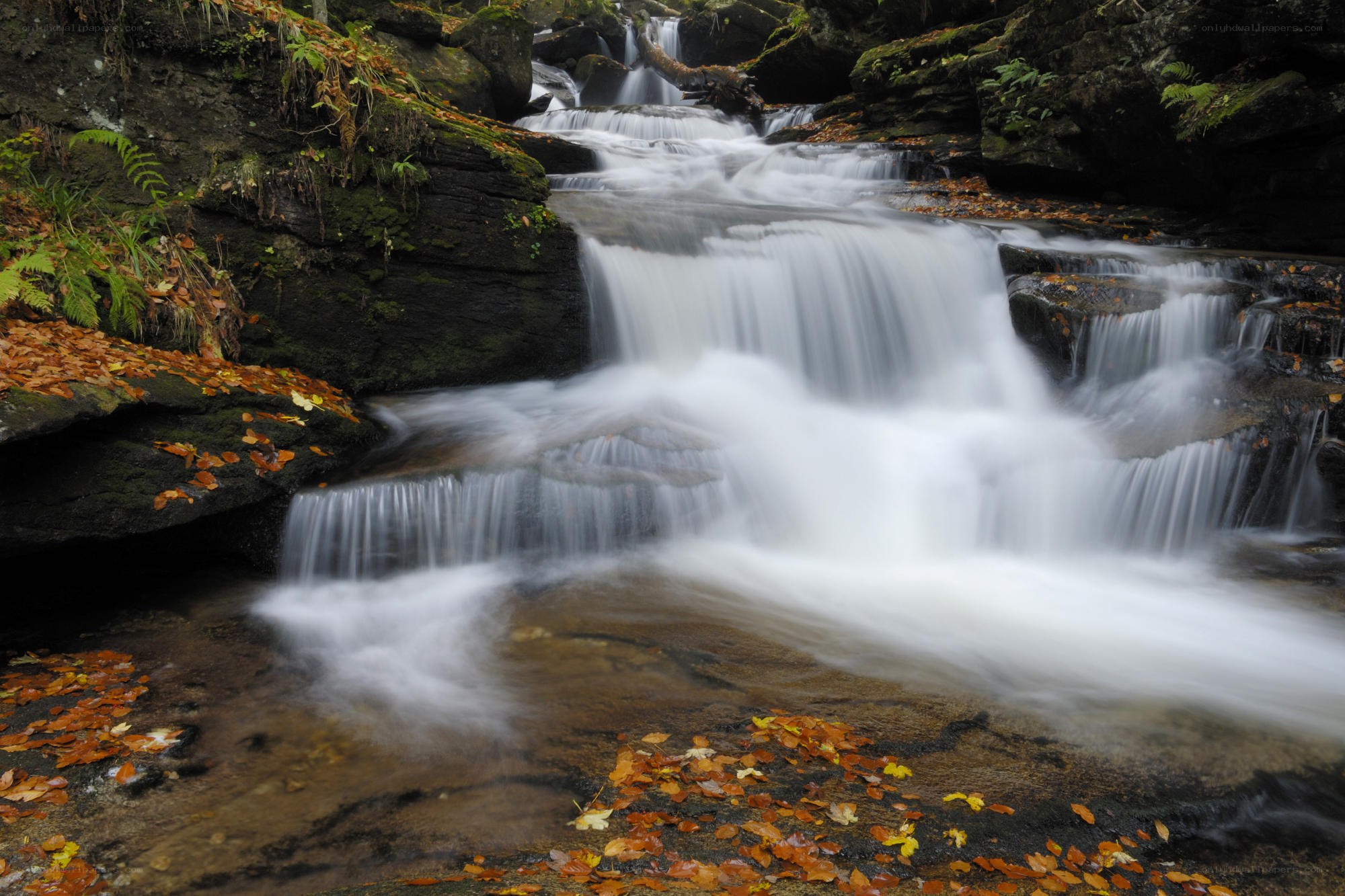 Waterfall in autumn forest