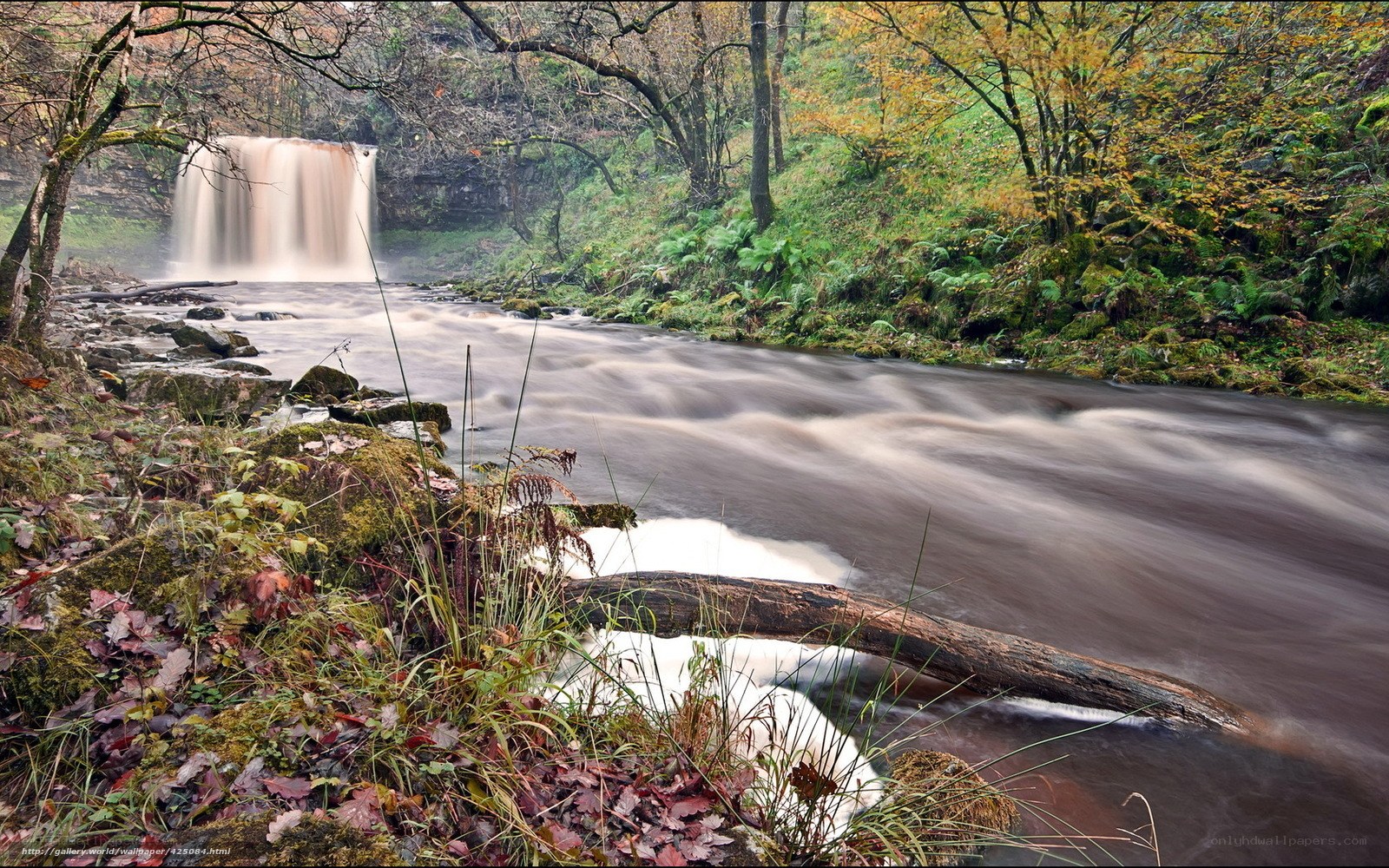 Waterfall in autumn forest