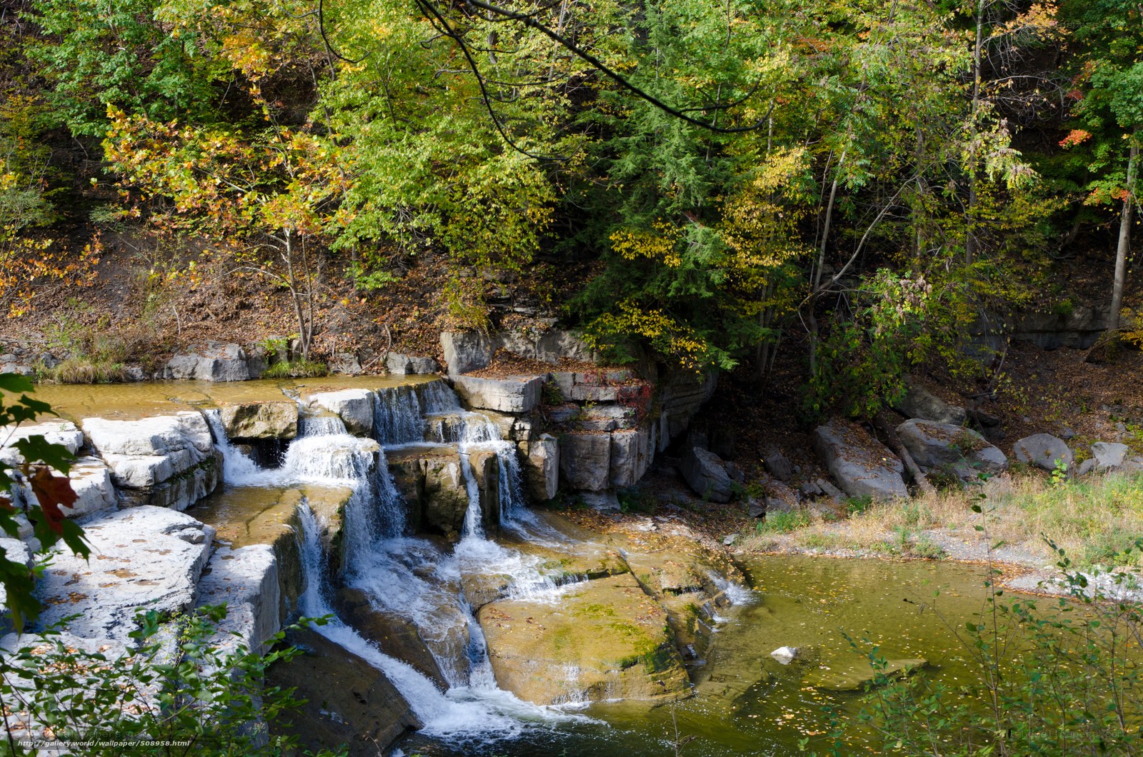 Waterfall in autumn forest