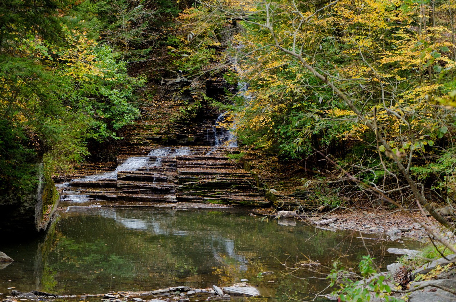 Waterfall in autumn forest
