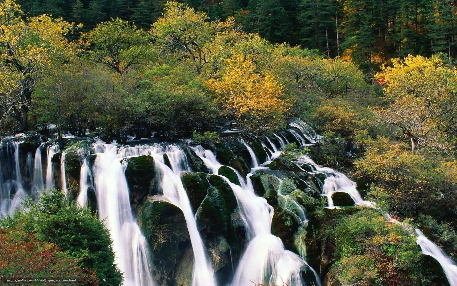 Waterfall in autumn forest