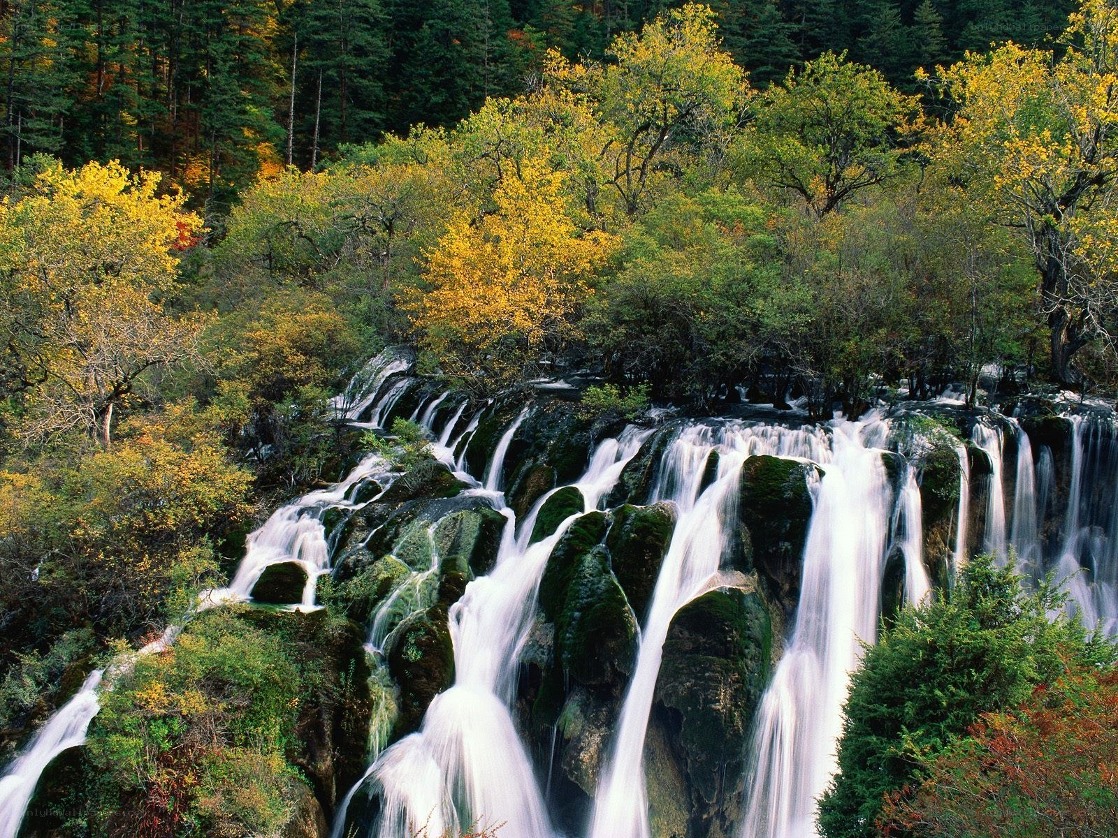 Waterfall in autumn forest