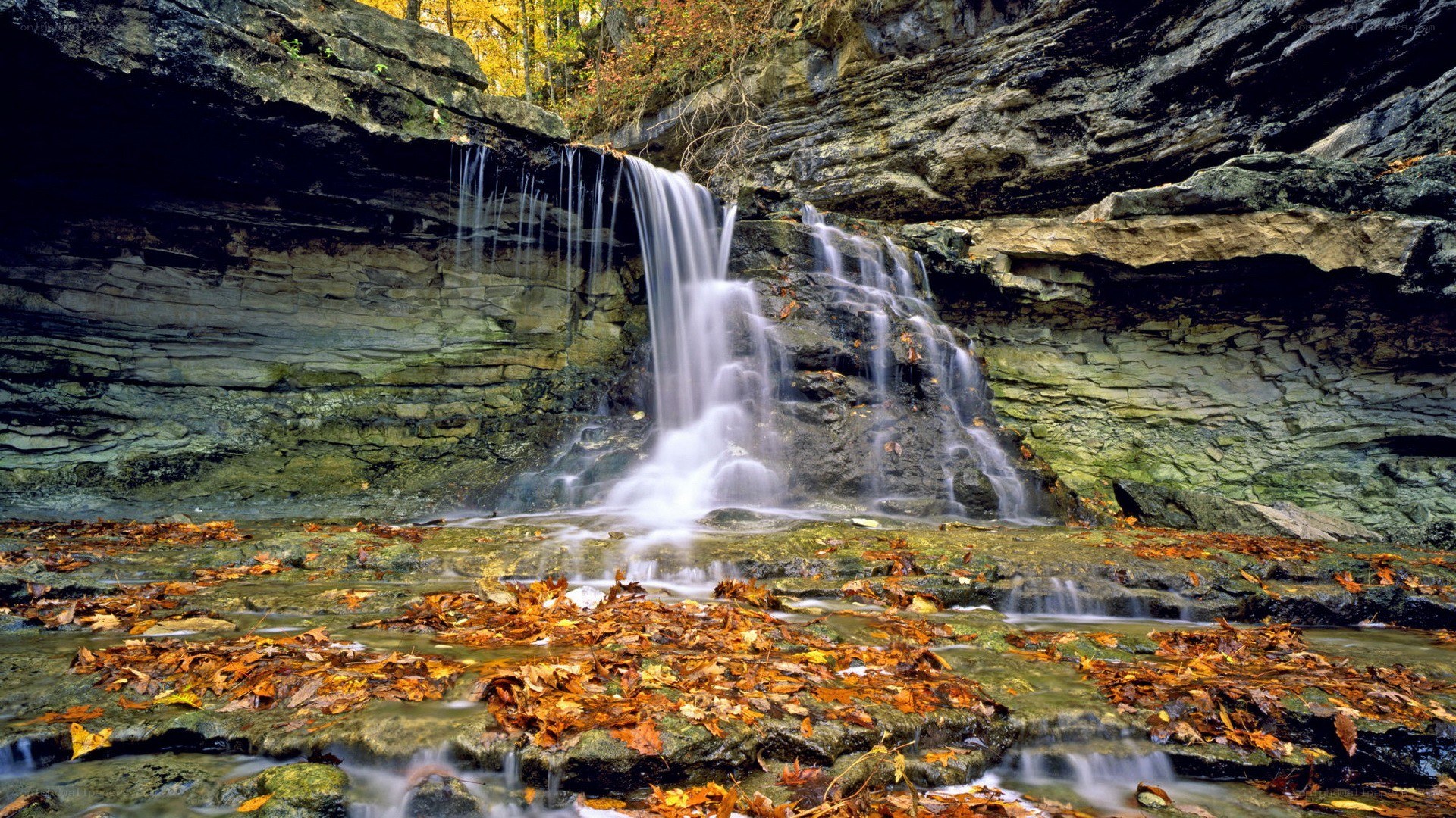 Waterfall in autumn forest