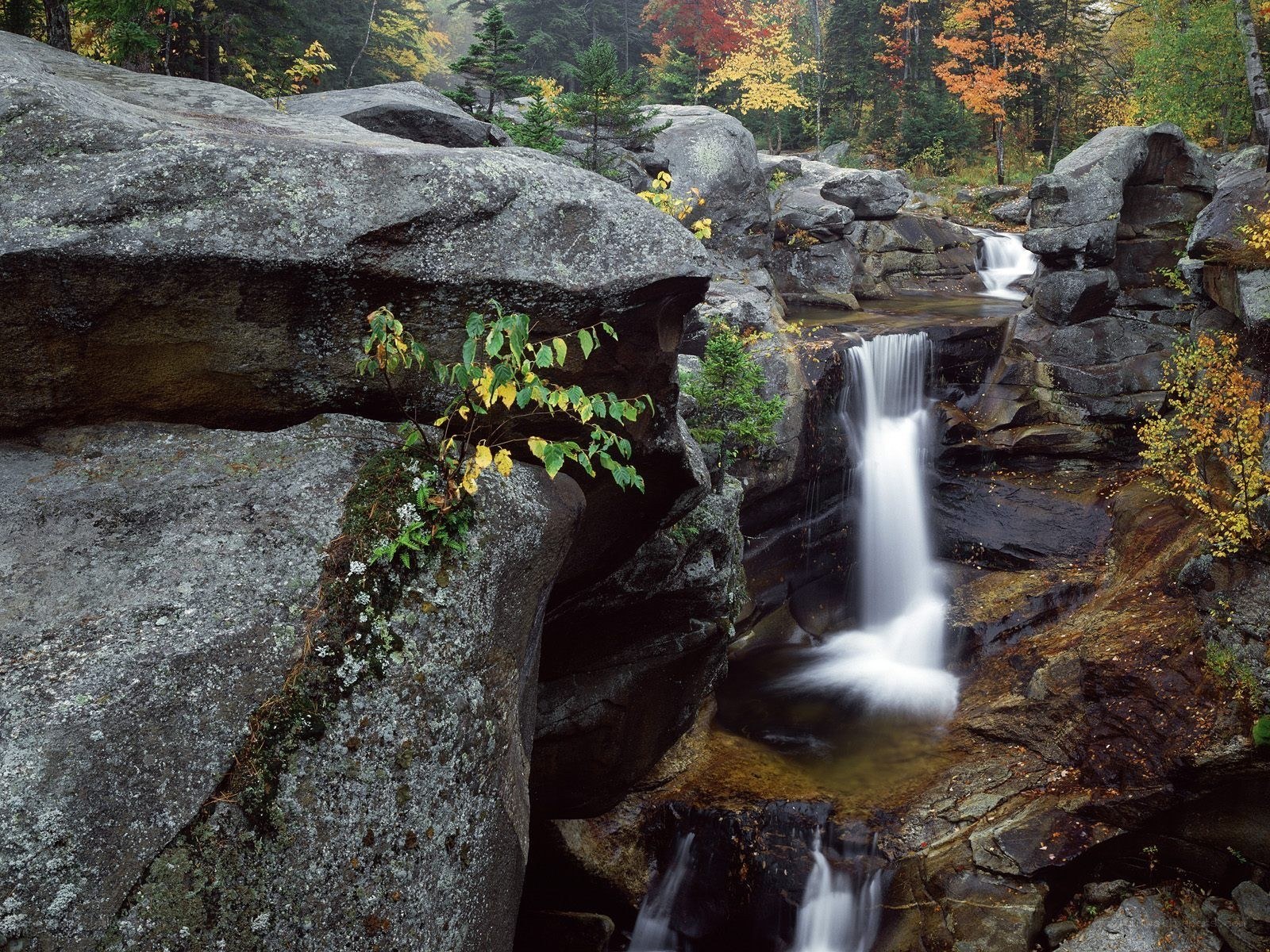 Waterfall in autumn forest