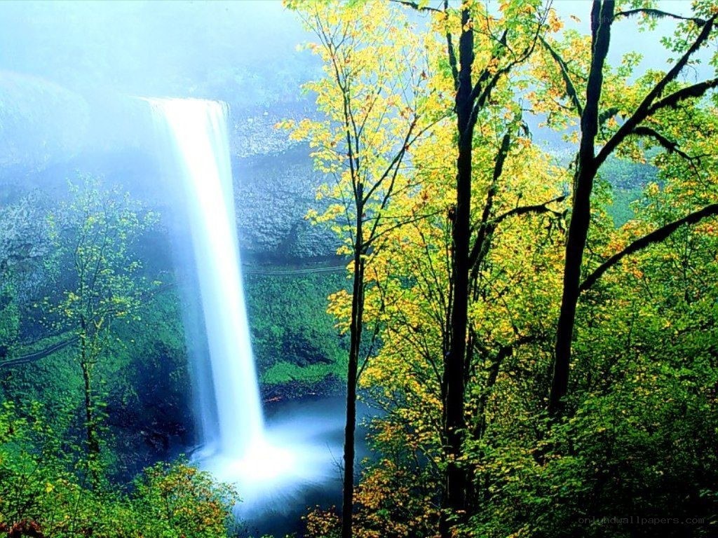 Waterfall in autumn forest