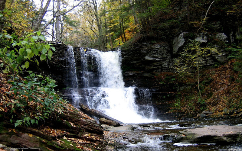 Waterfall in autumn forest