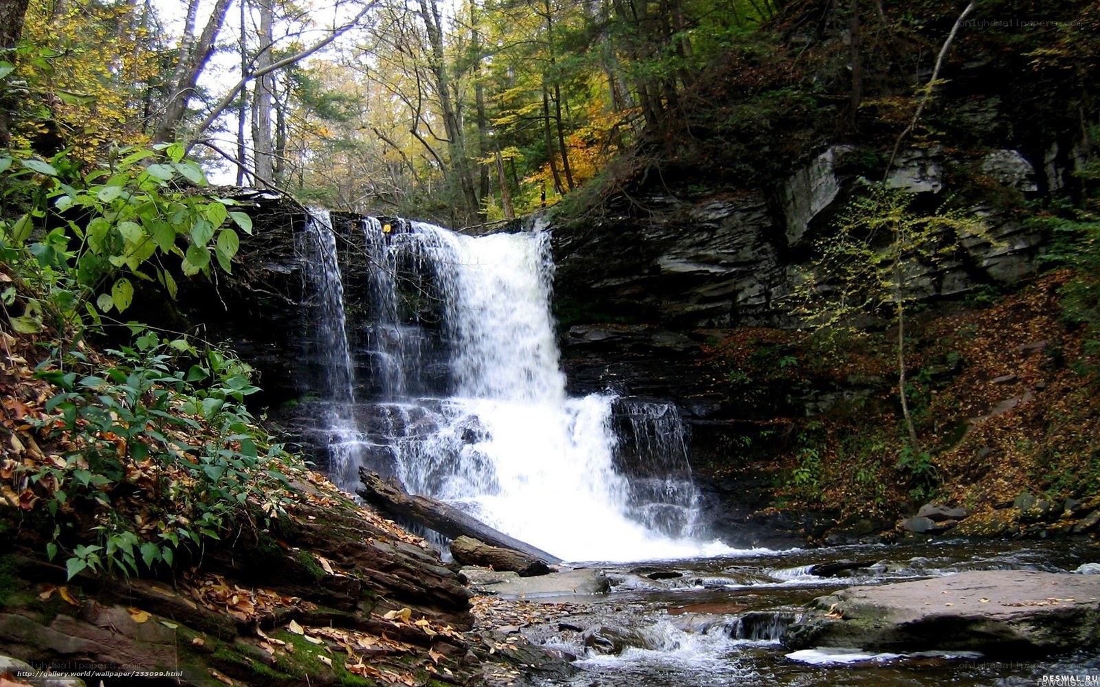 Waterfall in autumn forest