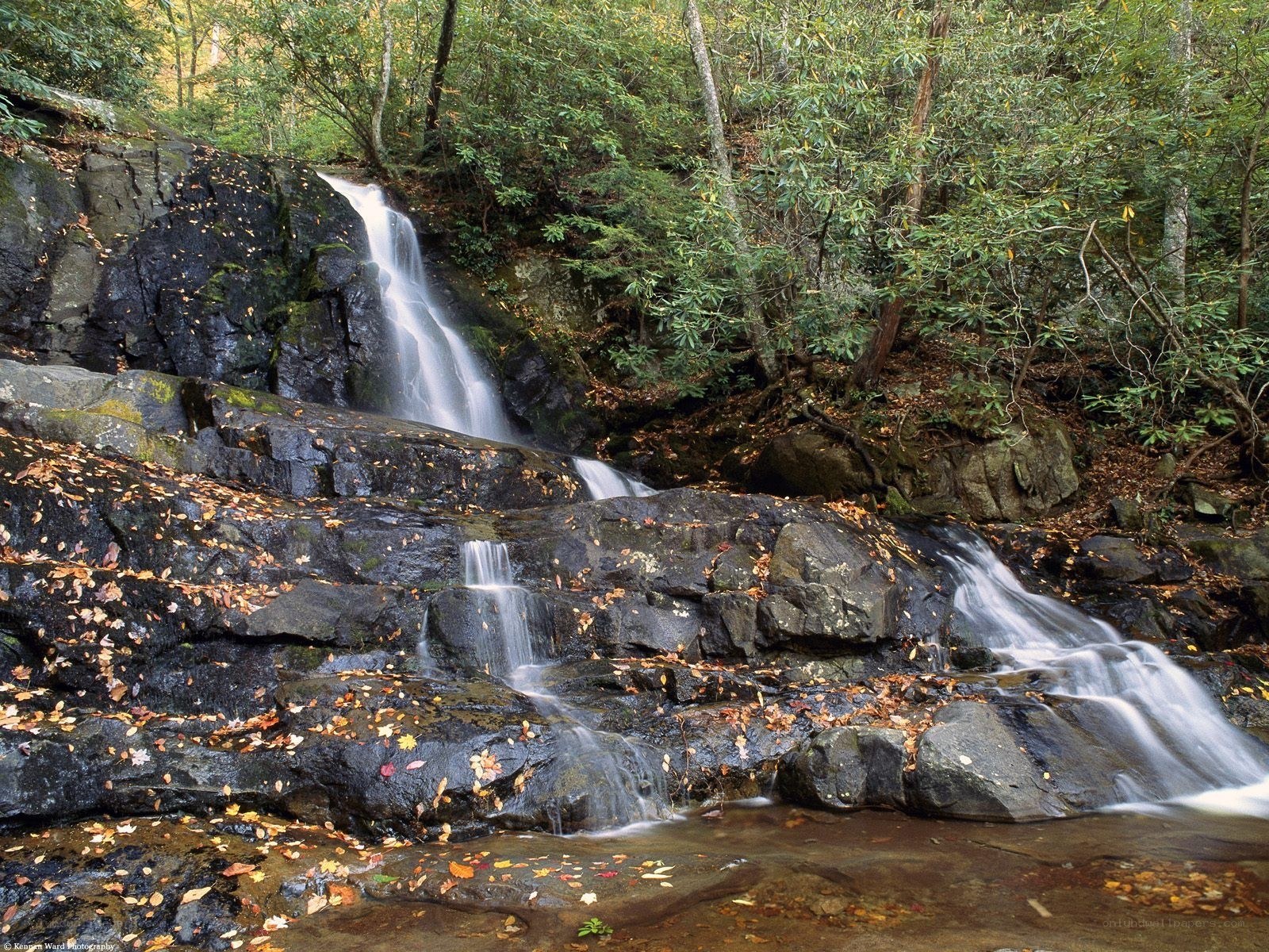 Waterfall in autumn forest