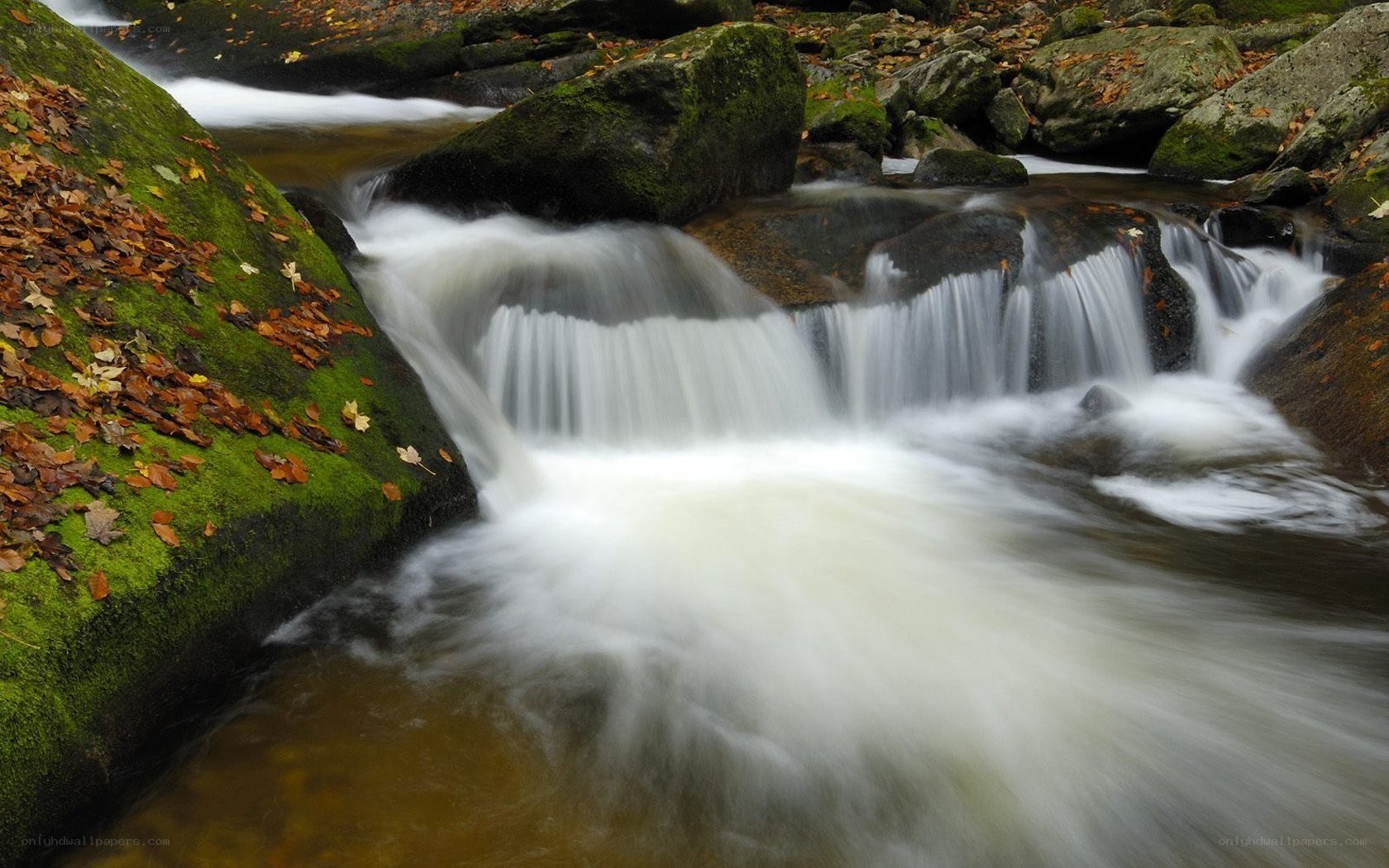Waterfall in autumn forest