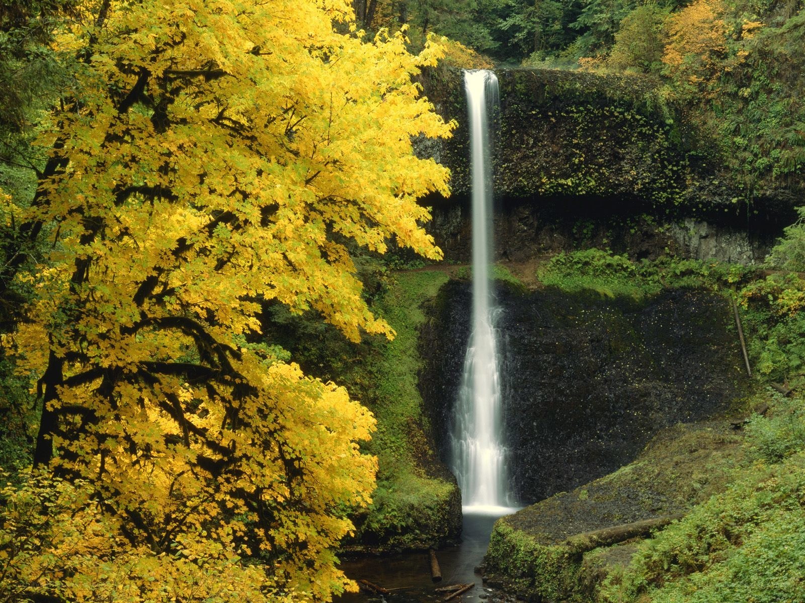 Waterfall in autumn forest