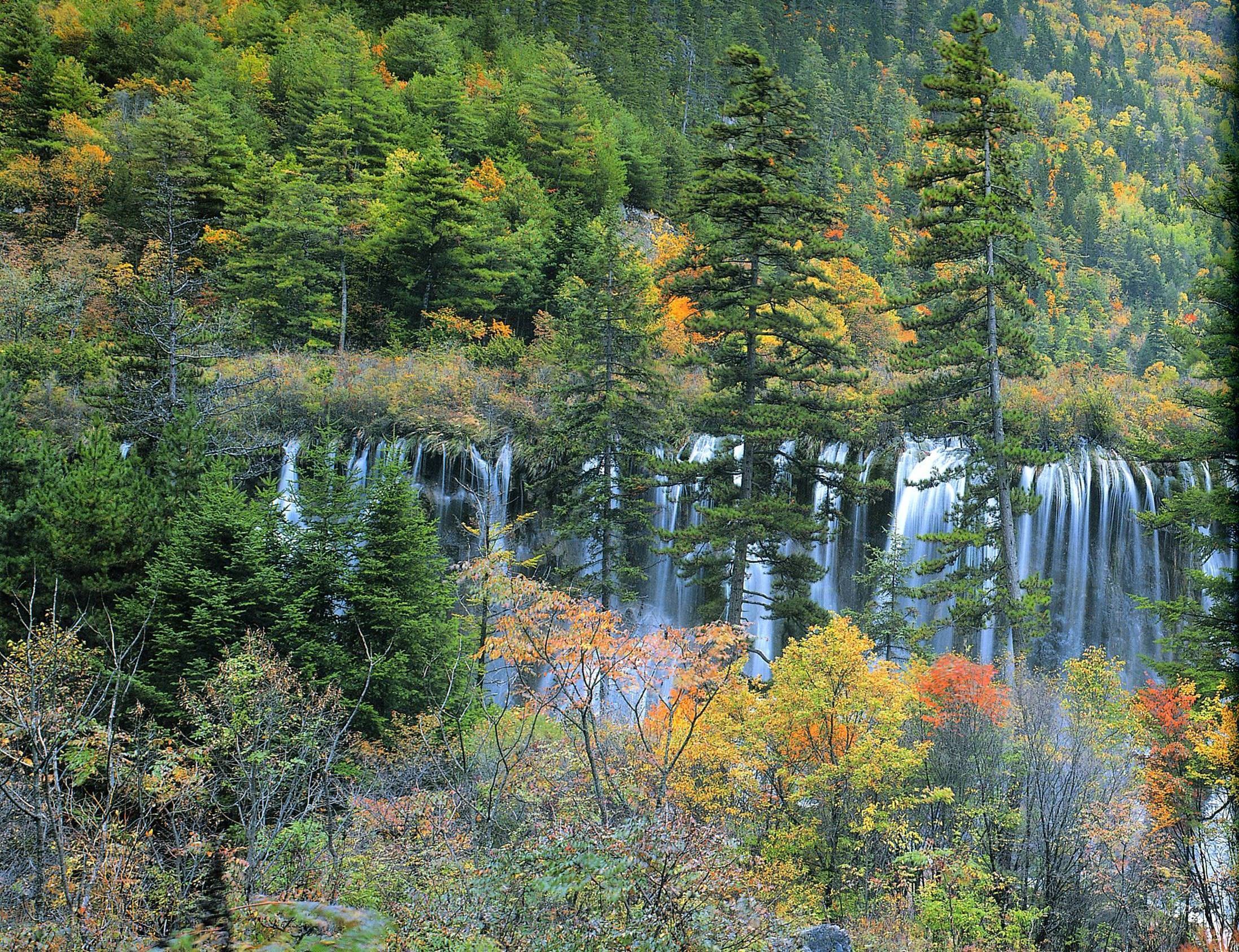 Waterfall in autumn forest
