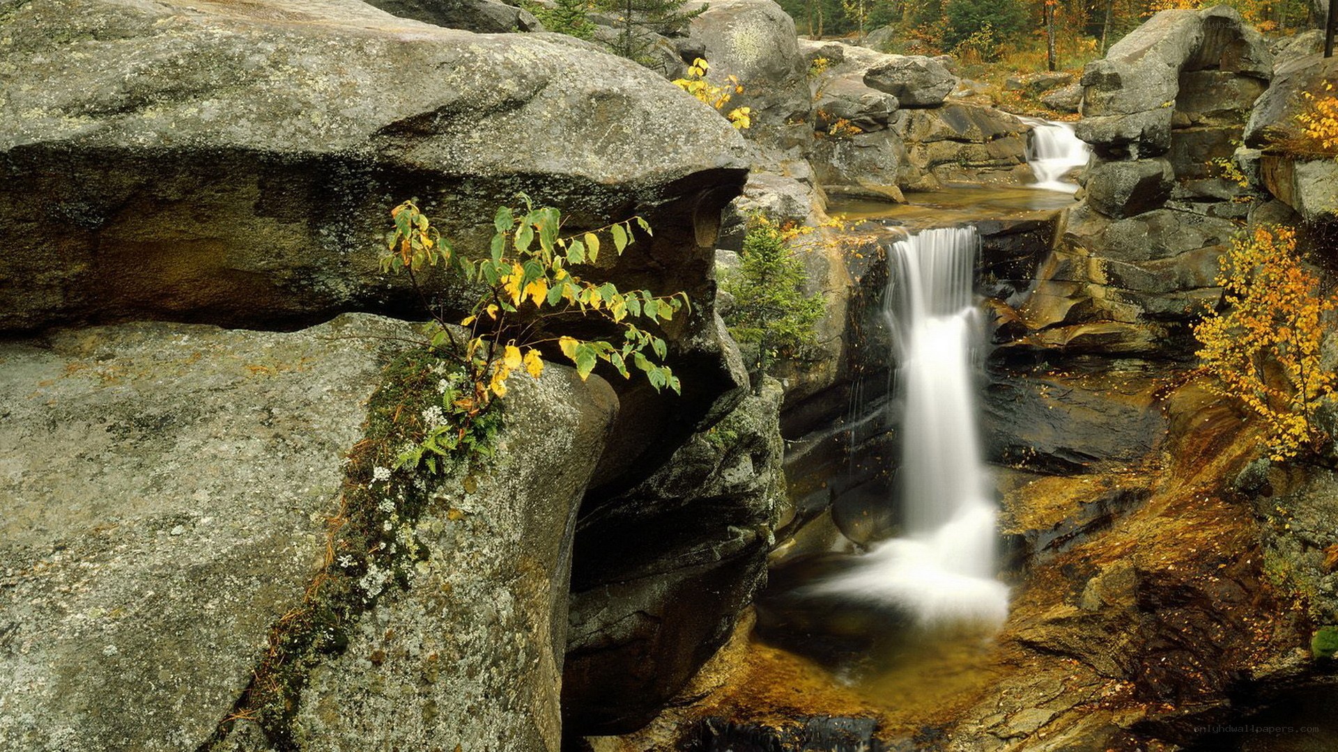 Waterfall in autumn forest