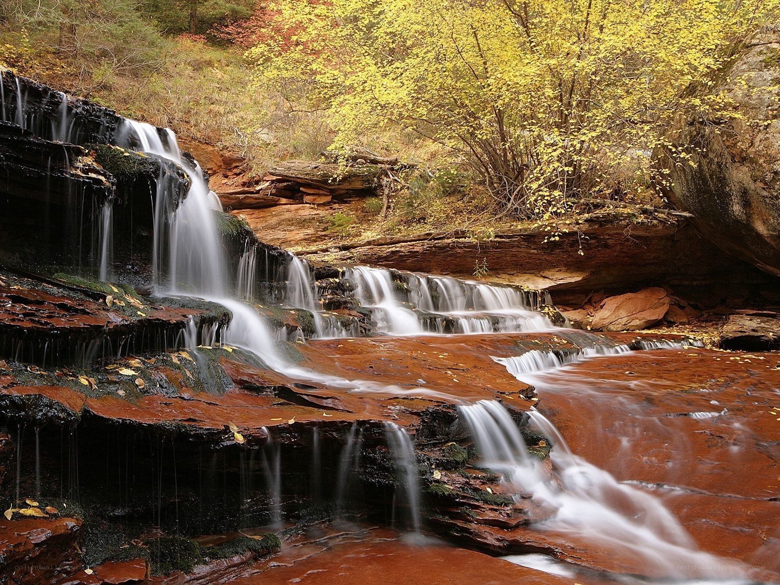 Waterfall in autumn forest