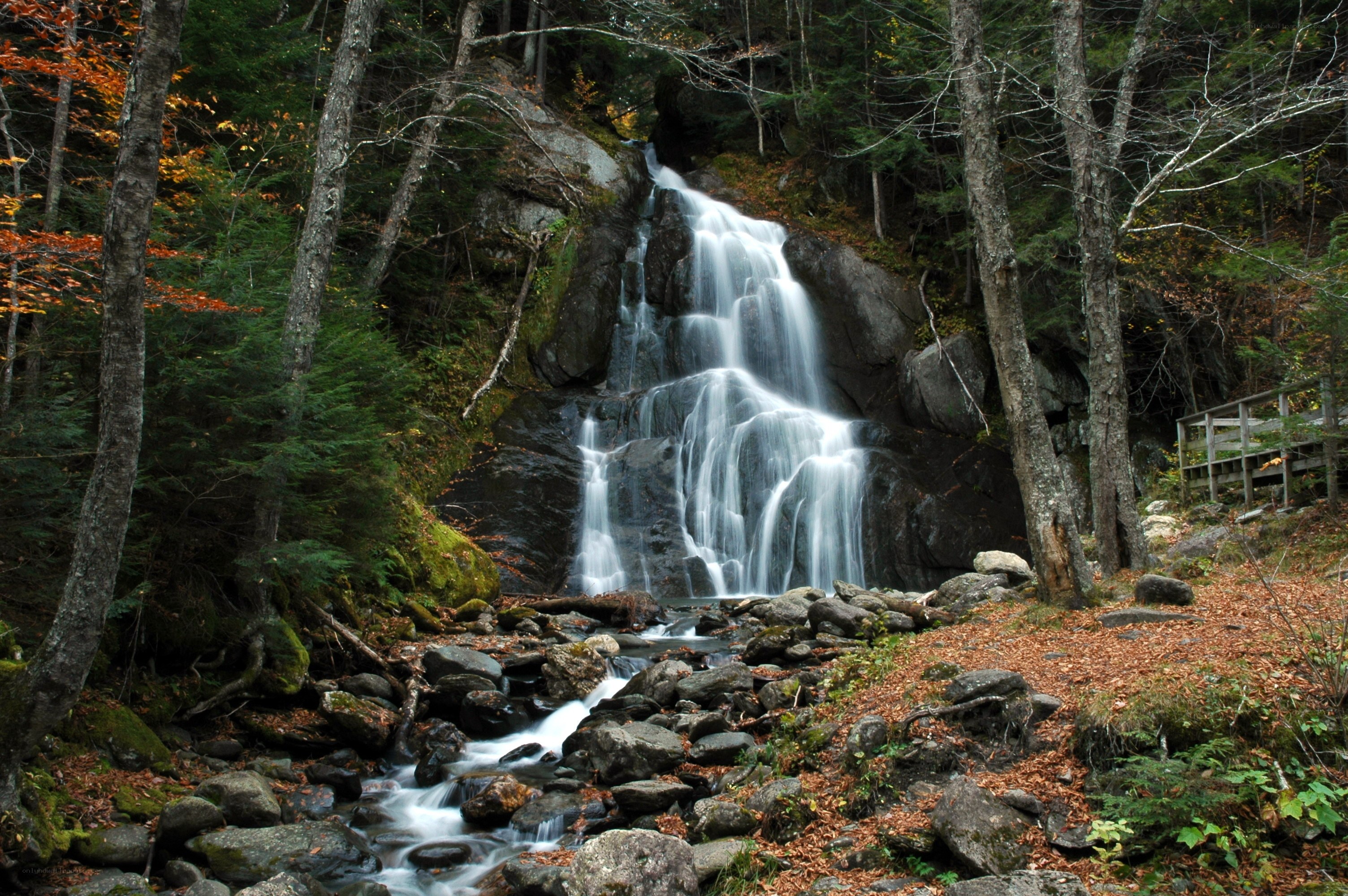 Waterfall in autumn forest