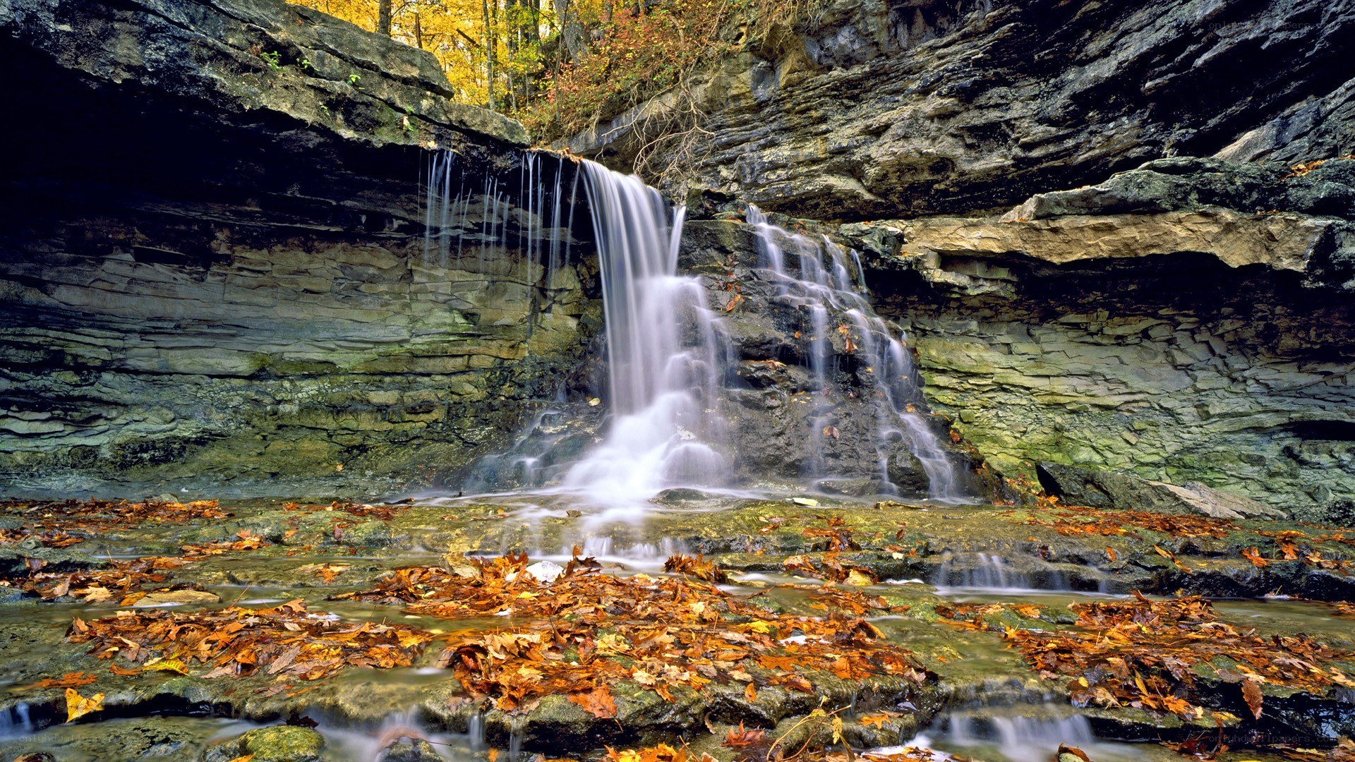Waterfall in autumn forest