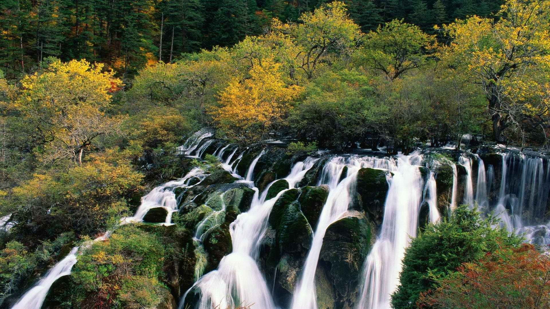 Waterfall in autumn forest