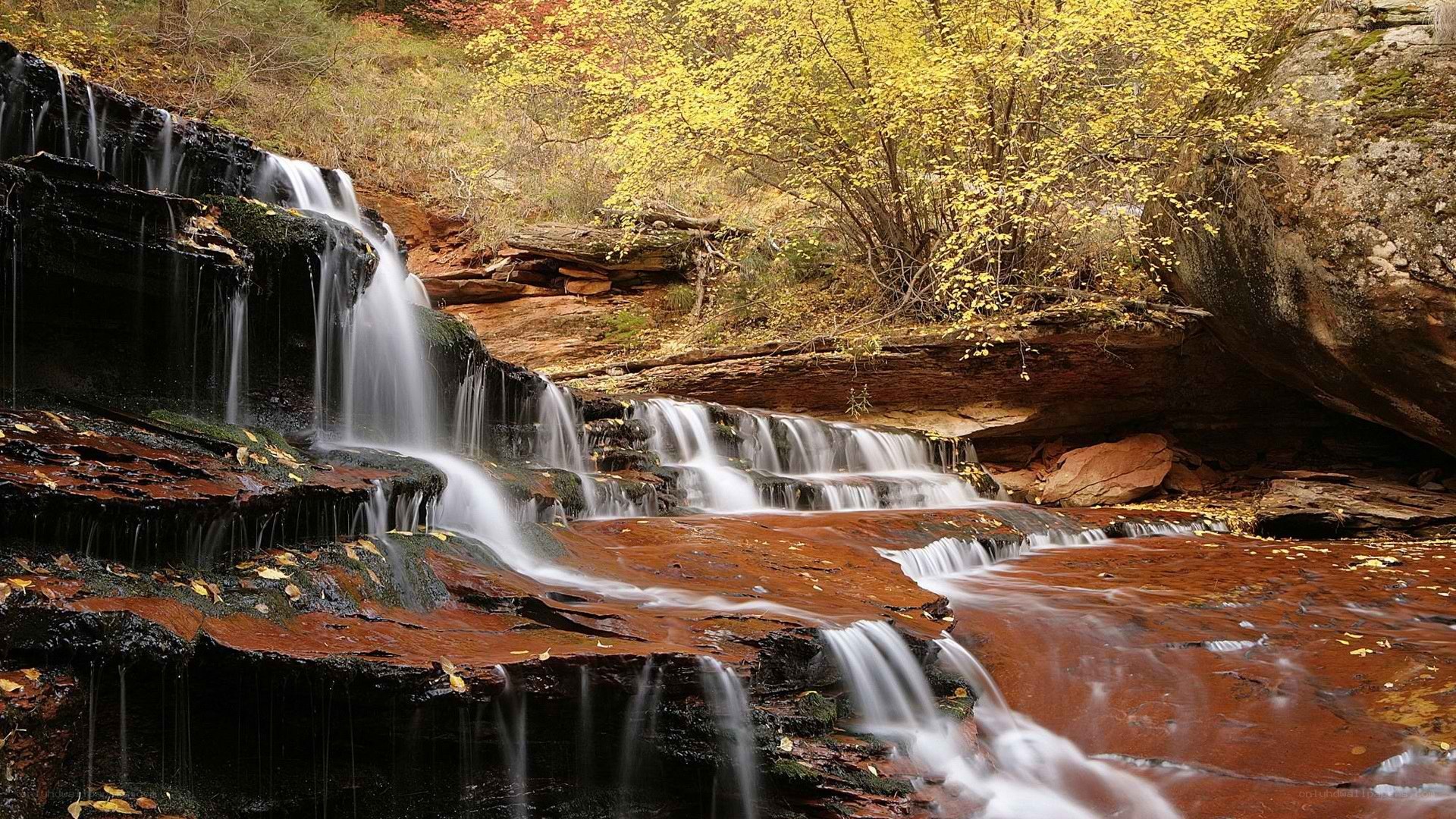 Waterfall in autumn forest