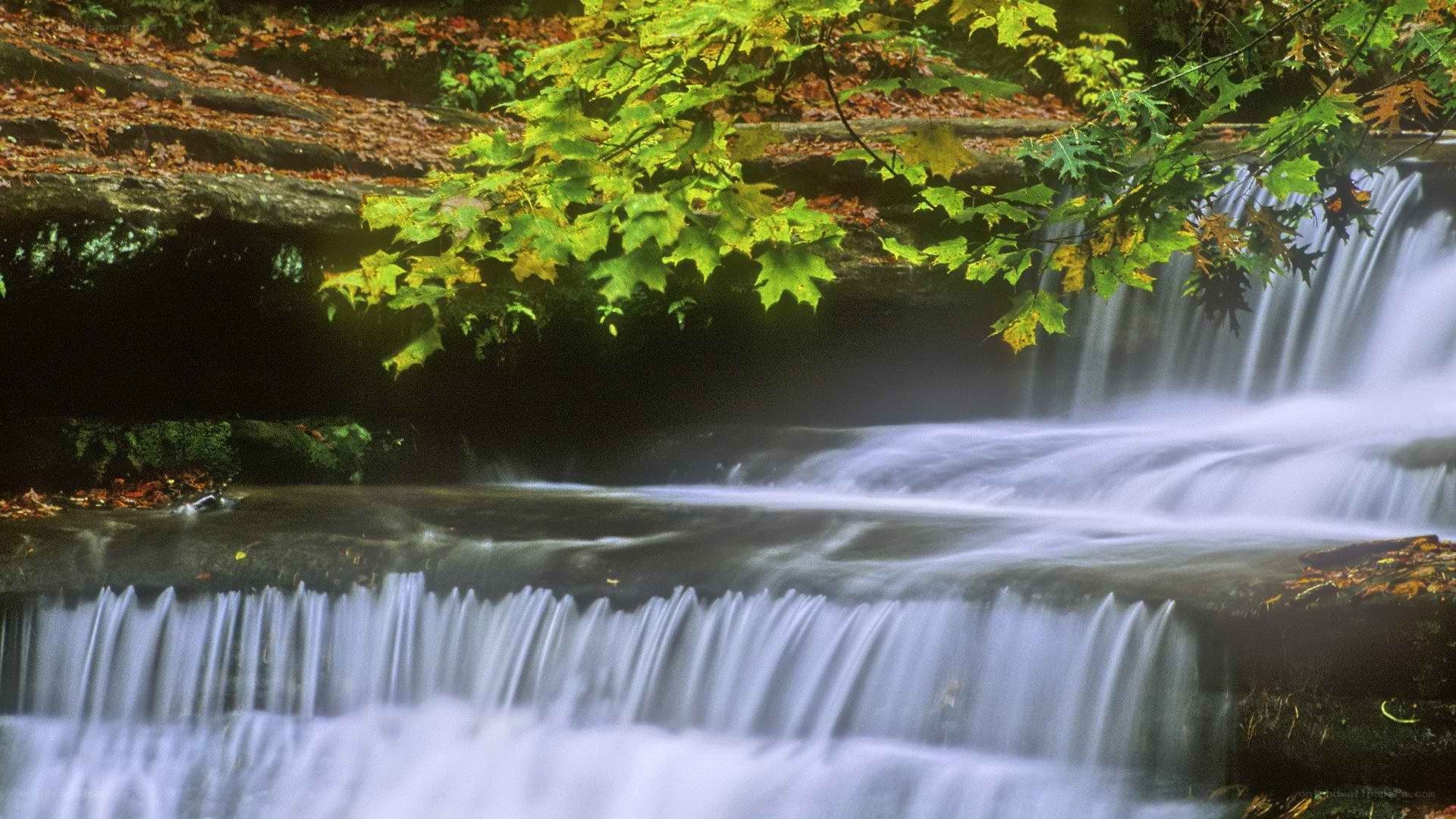 Waterfall in autumn forest