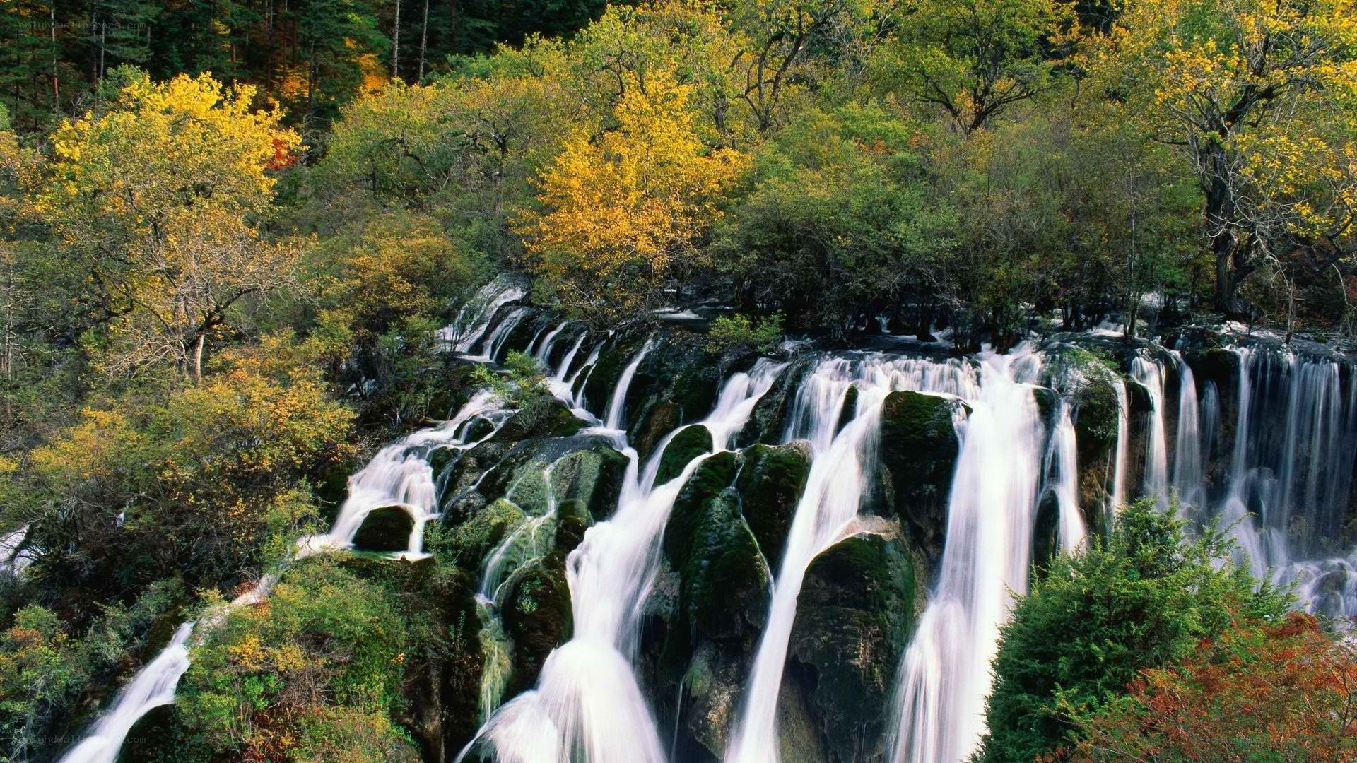 Waterfall in autumn forest