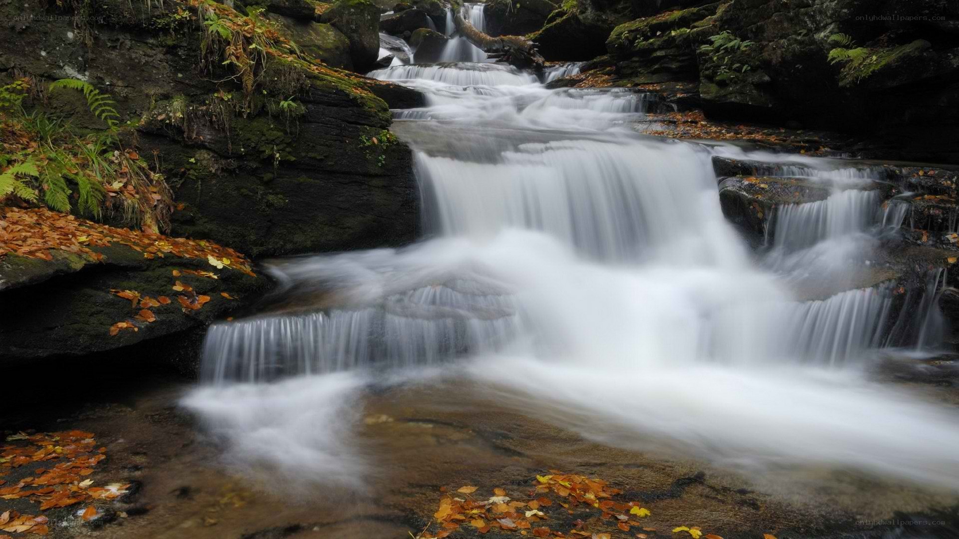 Waterfall in autumn forest