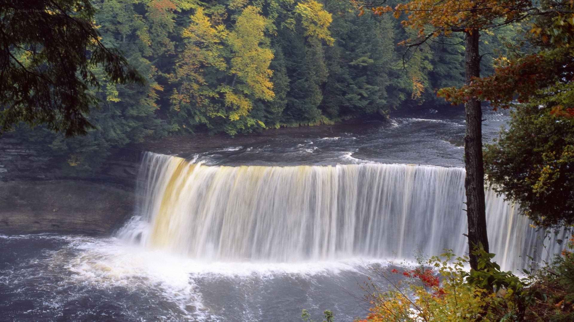 Waterfall in autumn forest