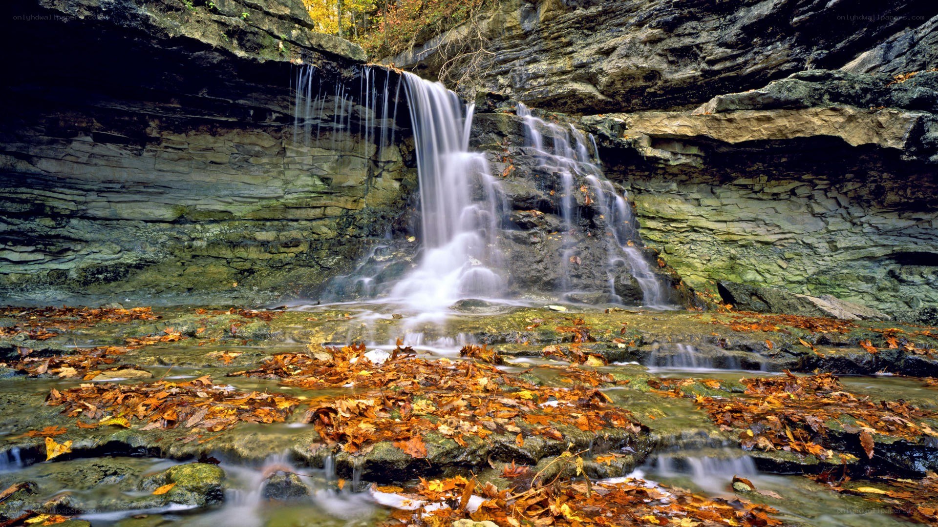 Waterfall in autumn forest