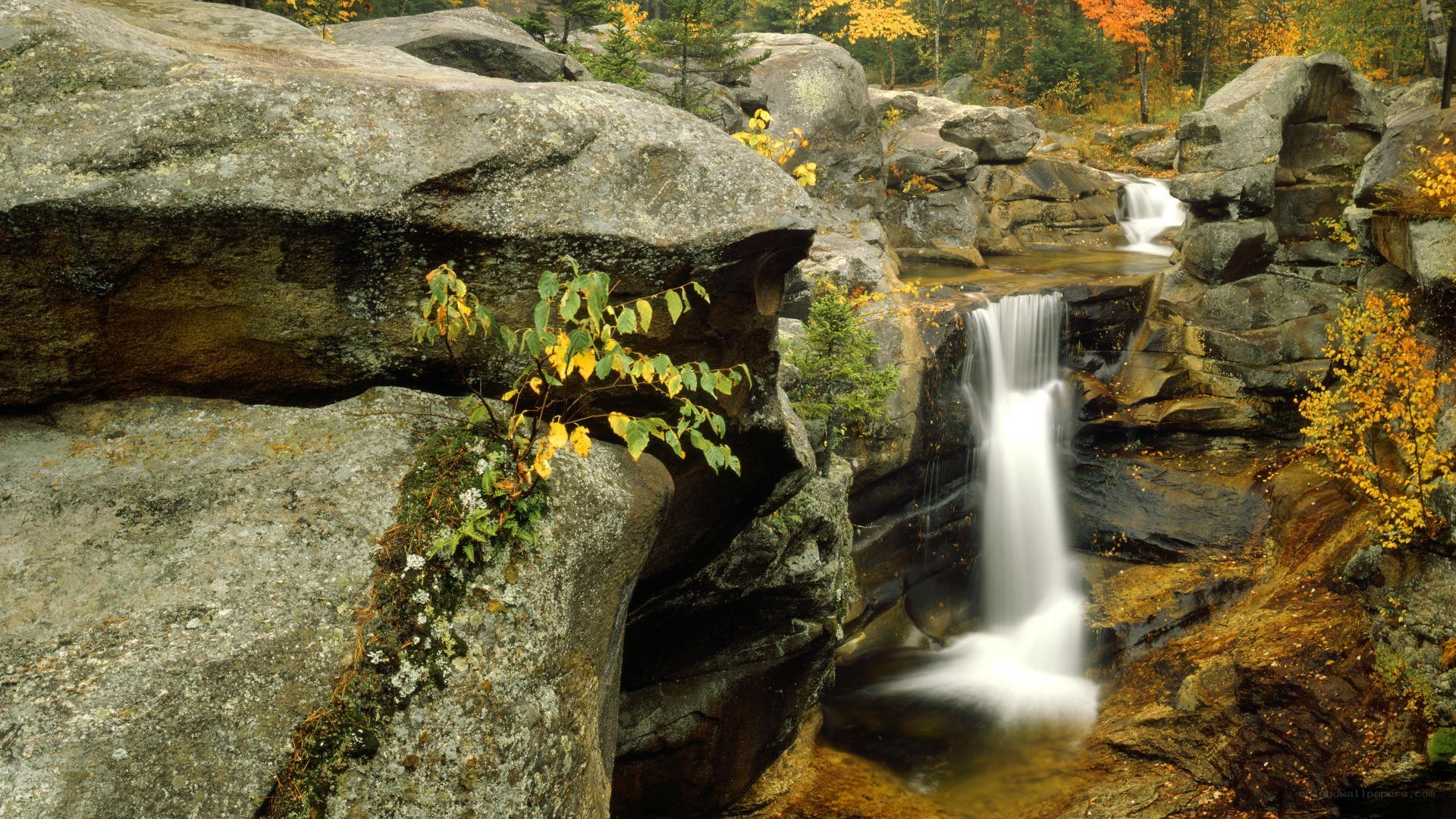 Waterfall in autumn forest
