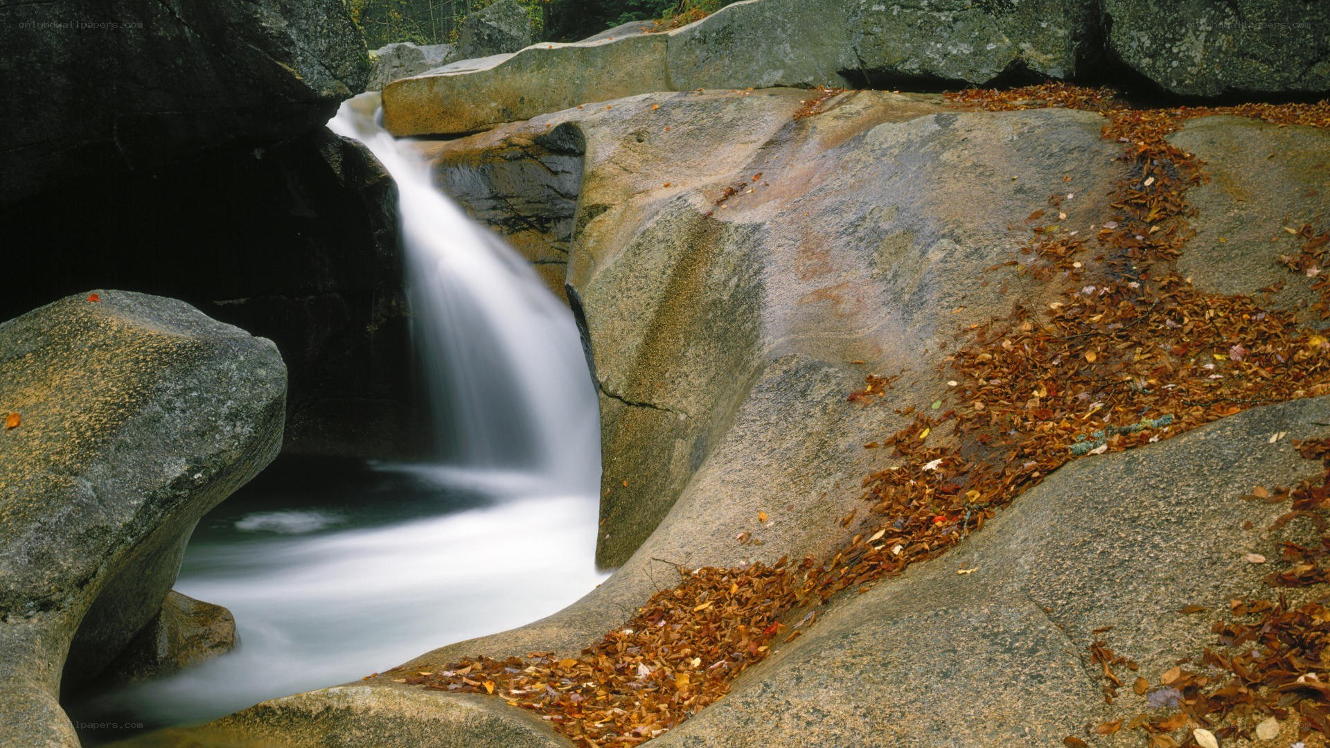 Waterfall in autumn forest