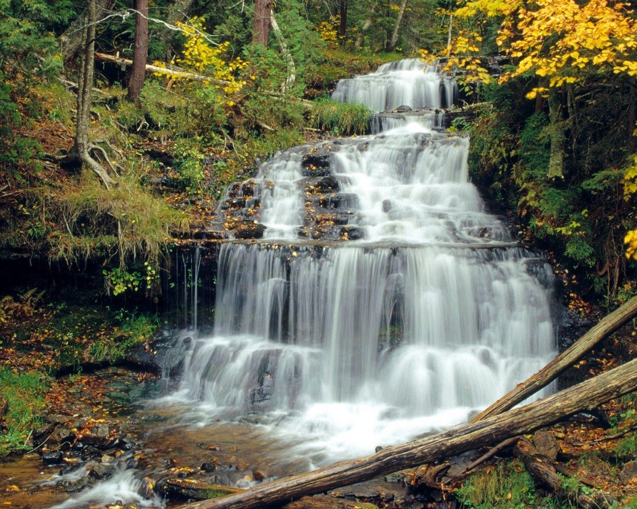 Waterfall in autumn forest
