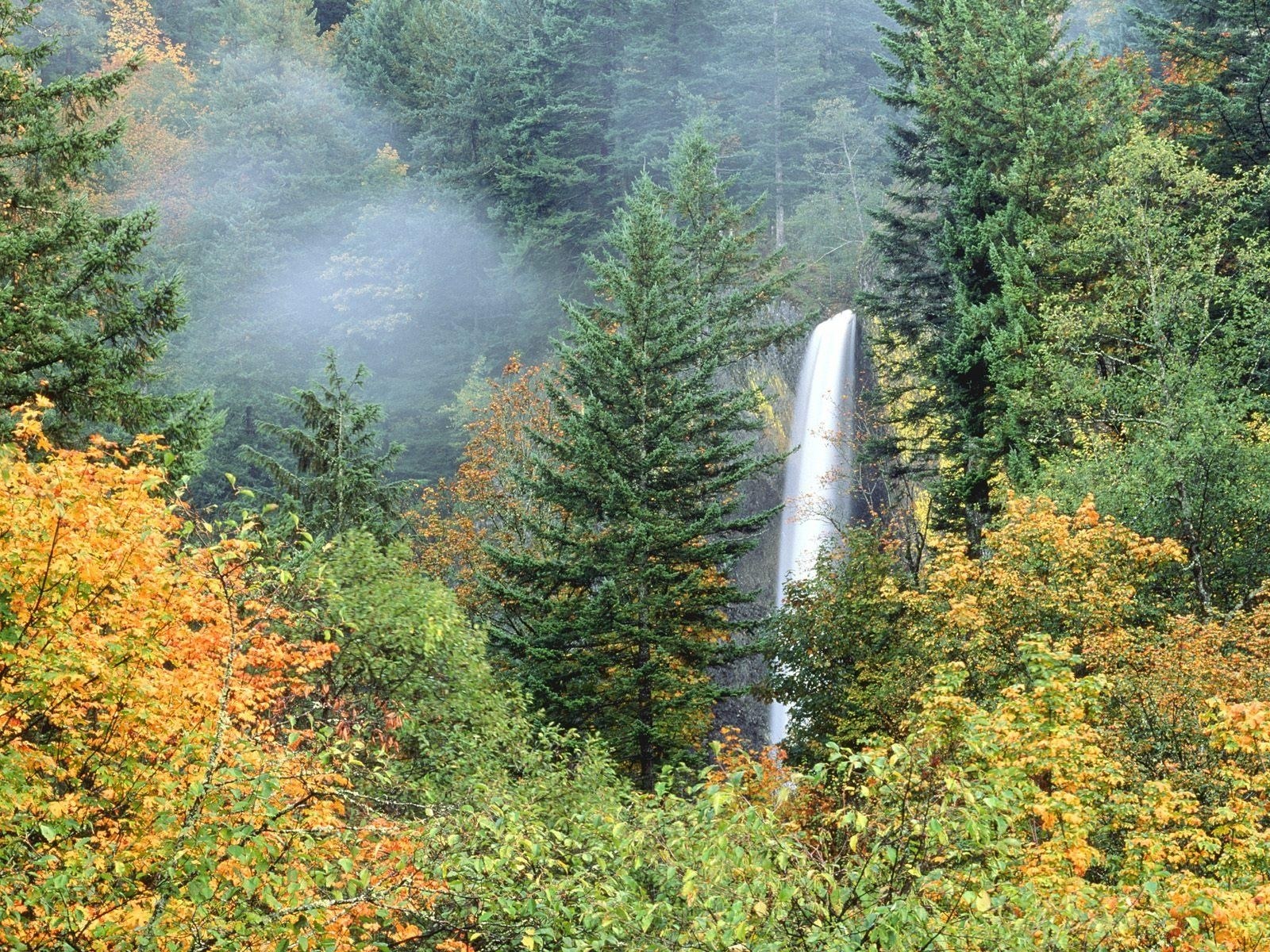 Waterfall in autumn forest