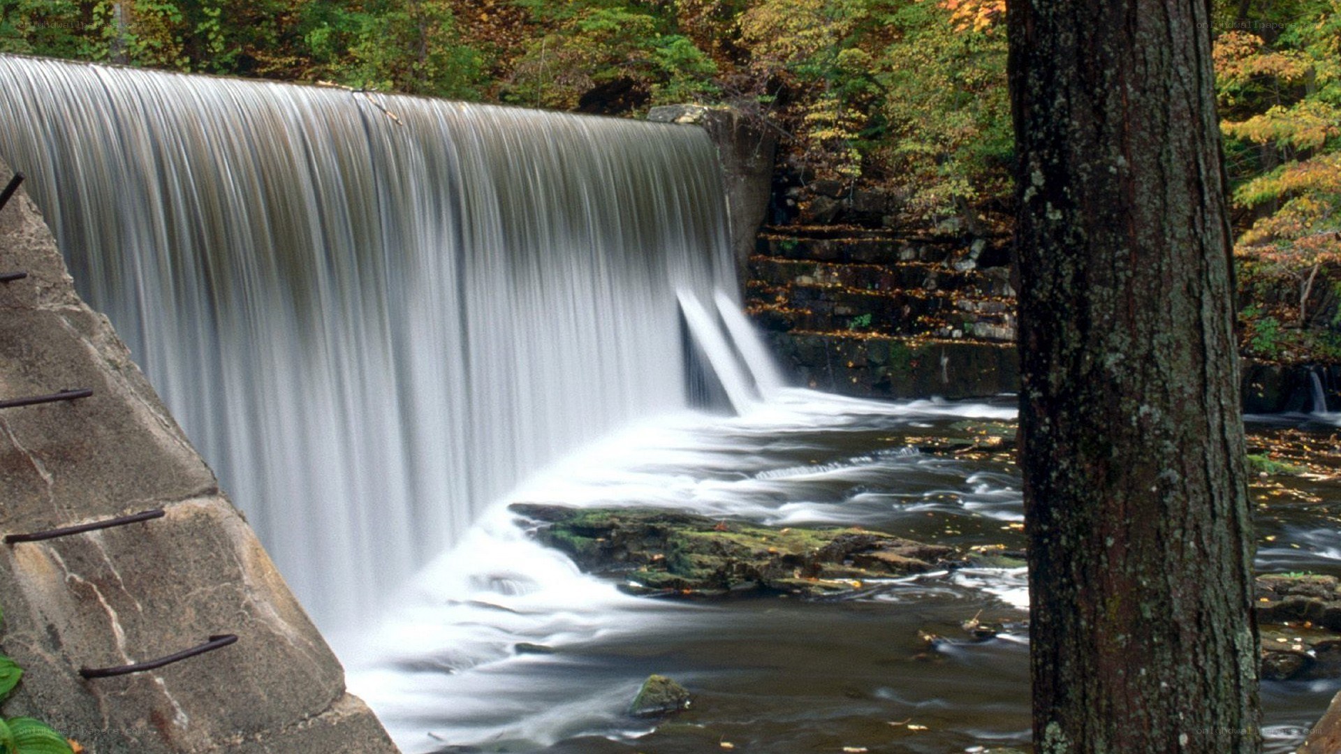 Waterfall in autumn forest