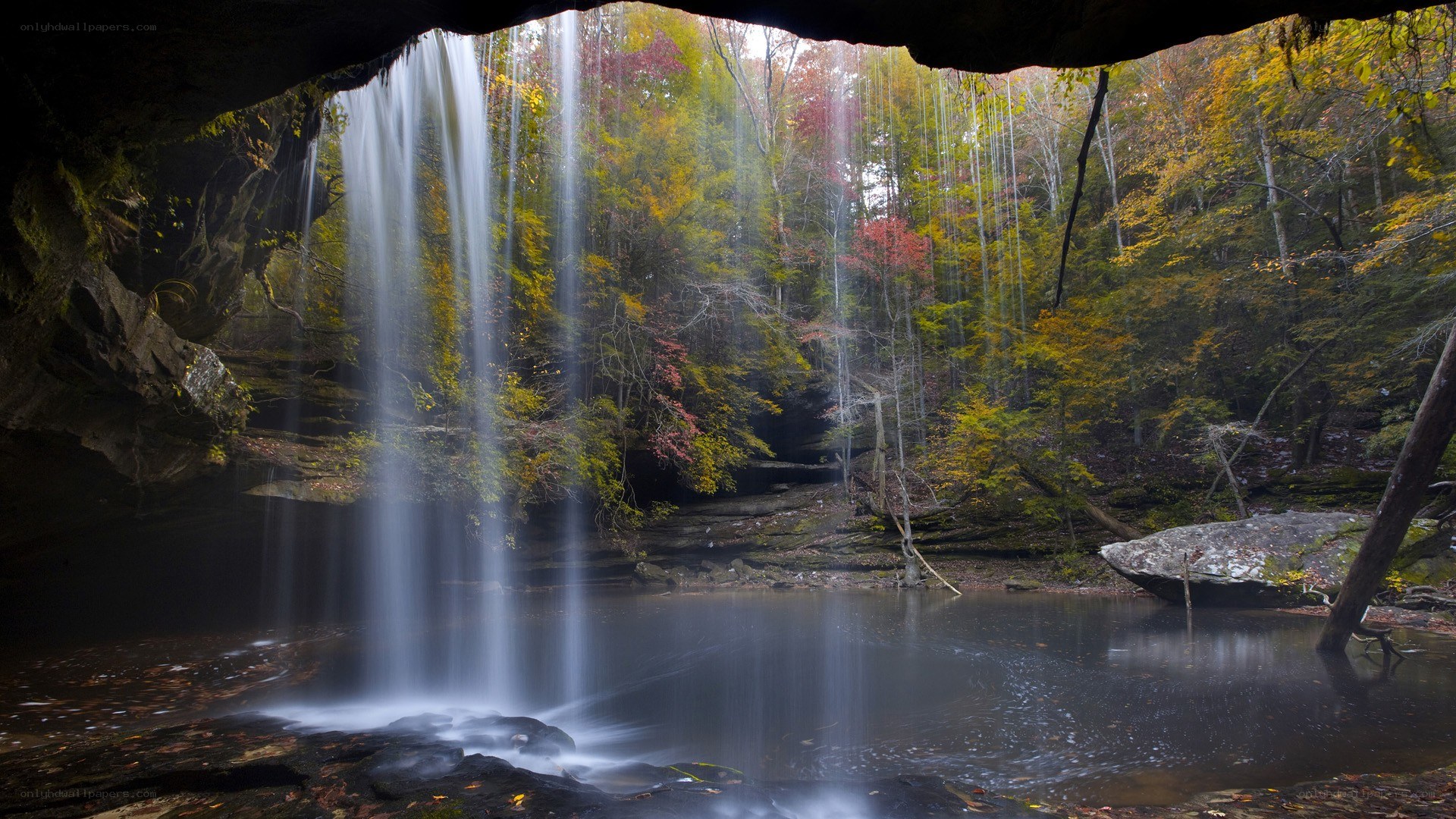 Waterfall in autumn forest