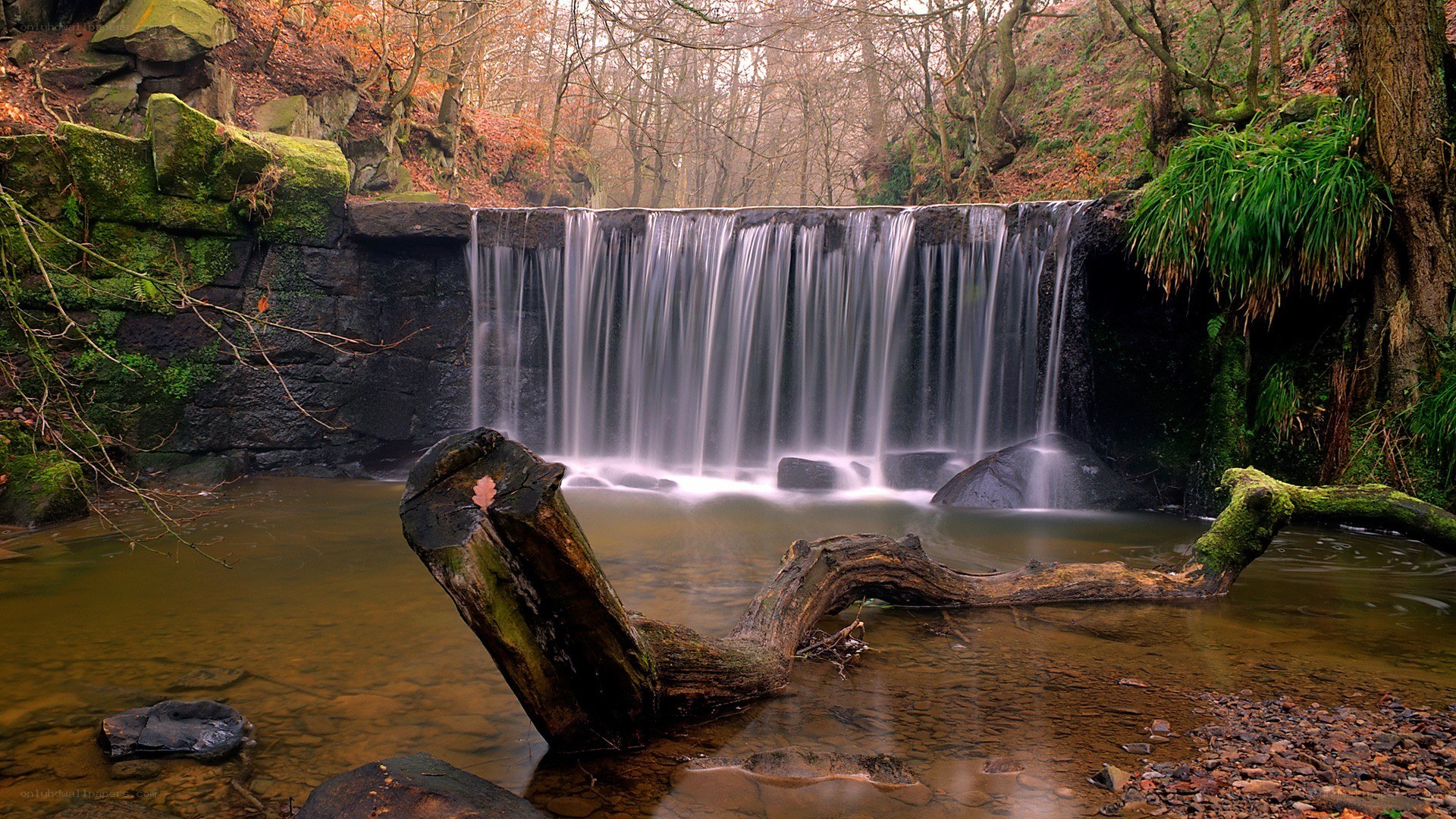 Waterfall in autumn forest