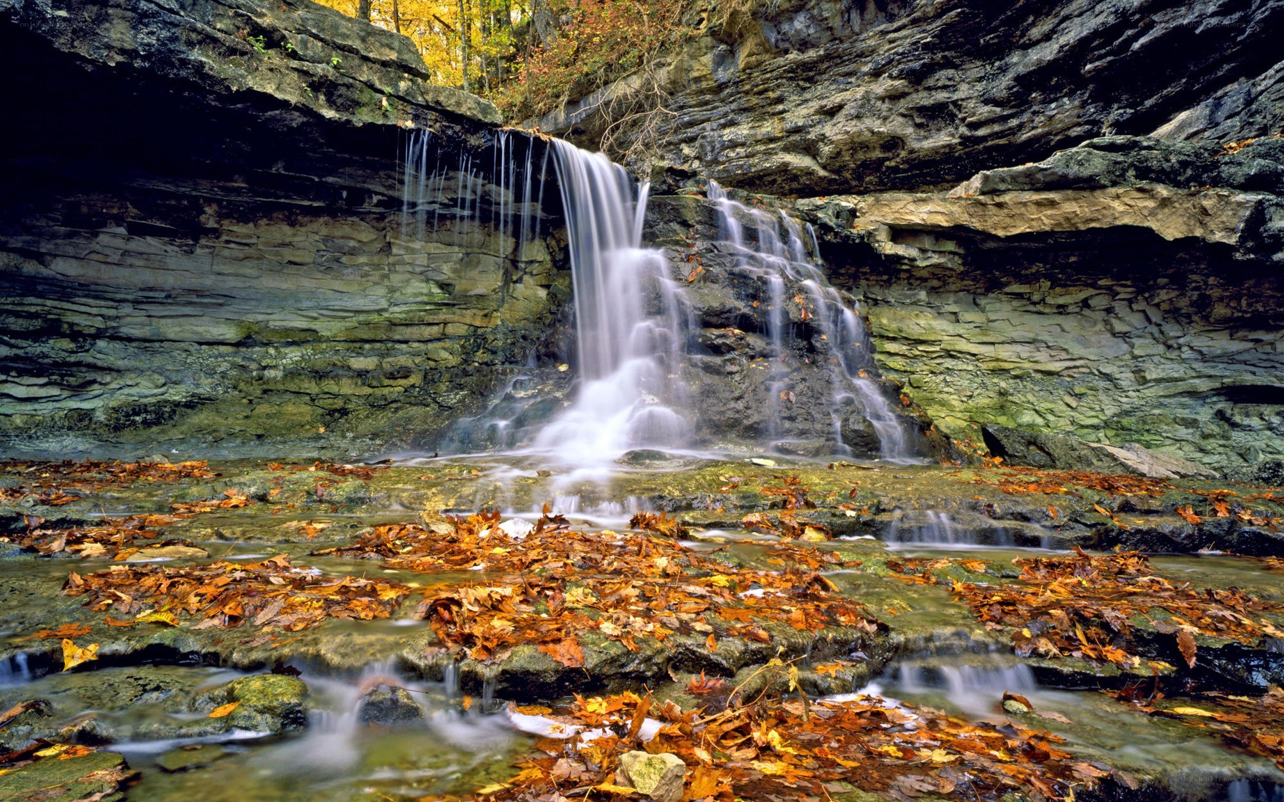 Waterfall in autumn forest